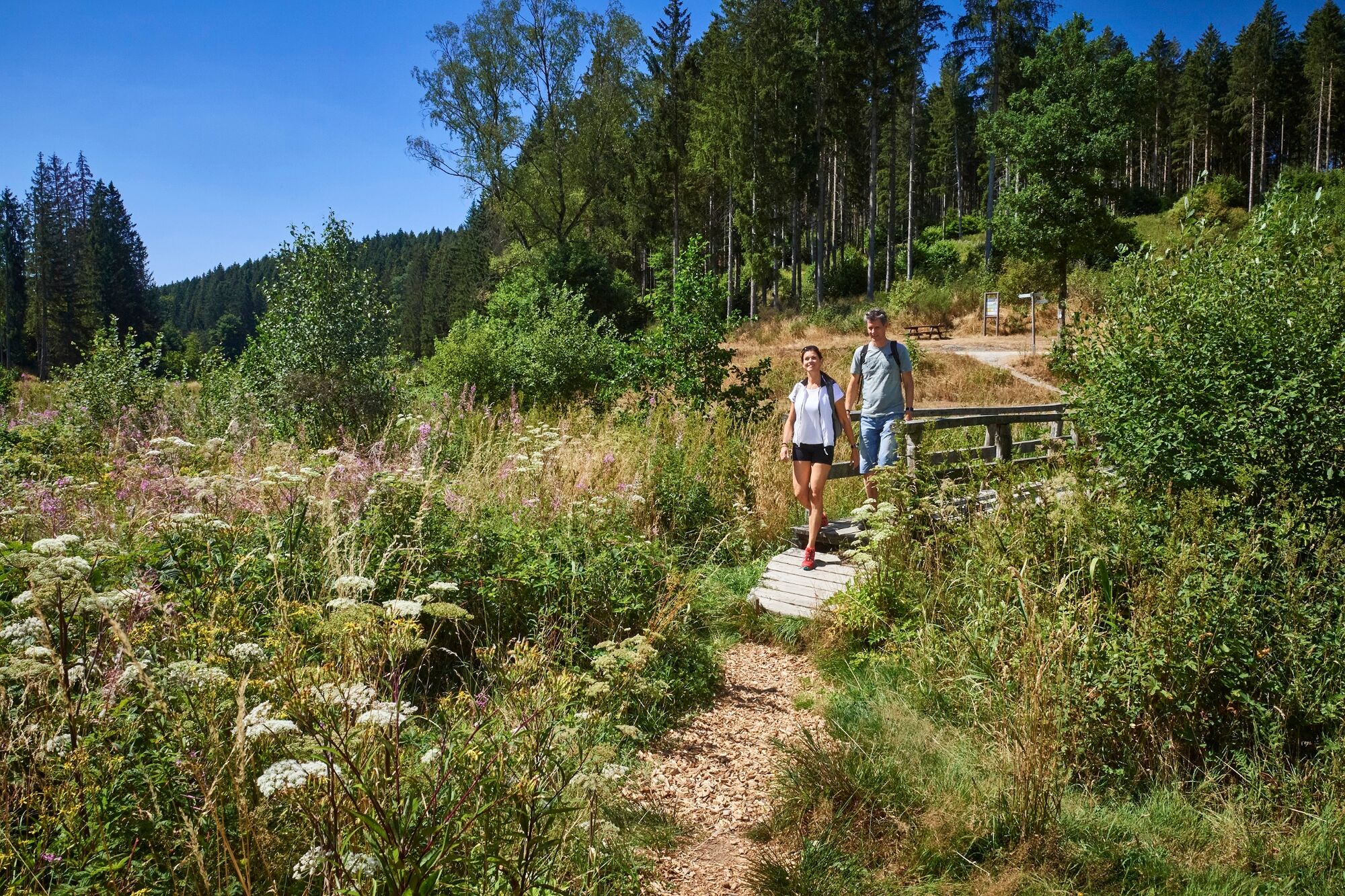 Traumschleife Frau Holle BERGFEX Wanderung Tour RheinlandPfalz