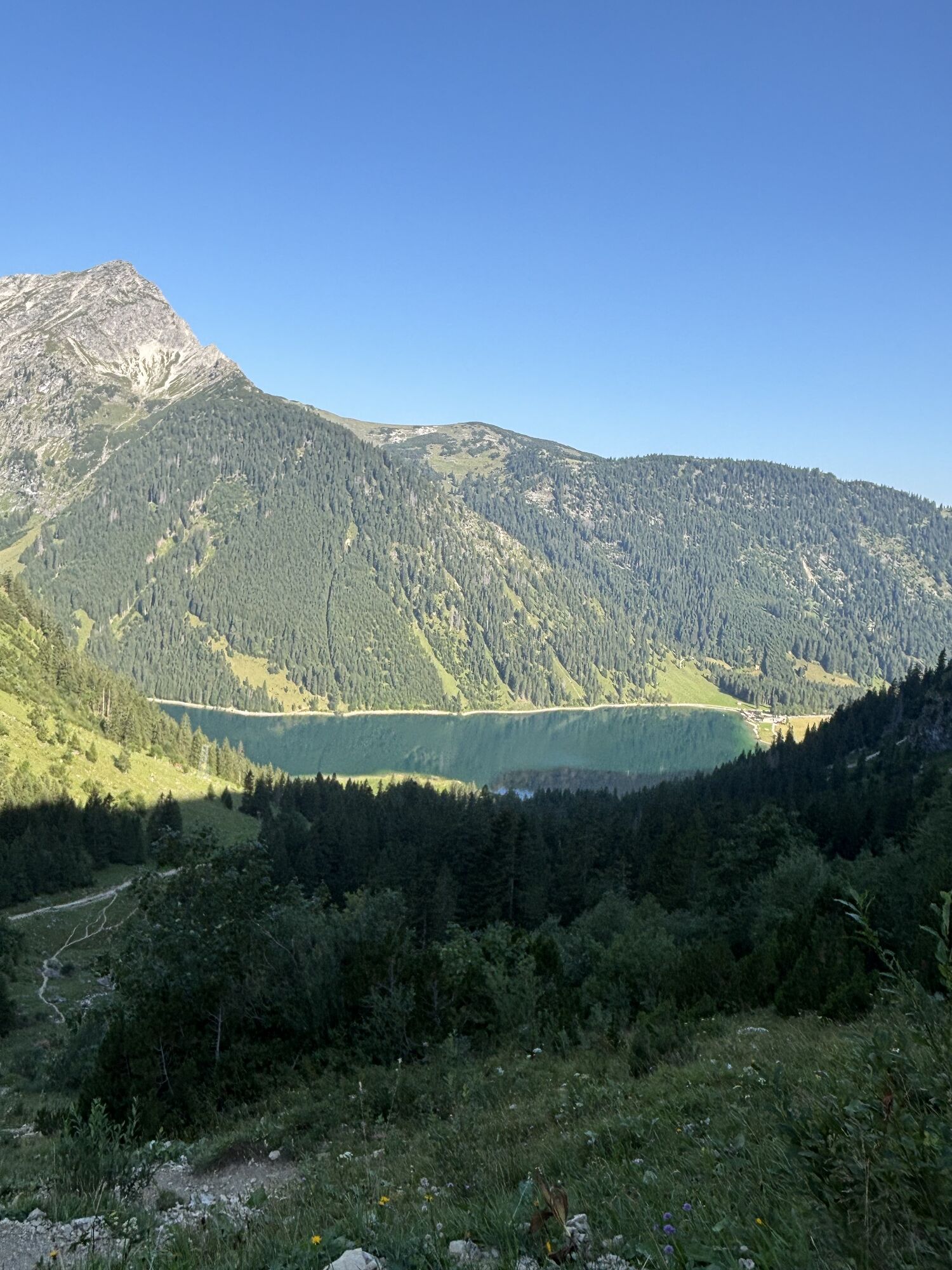 Карта