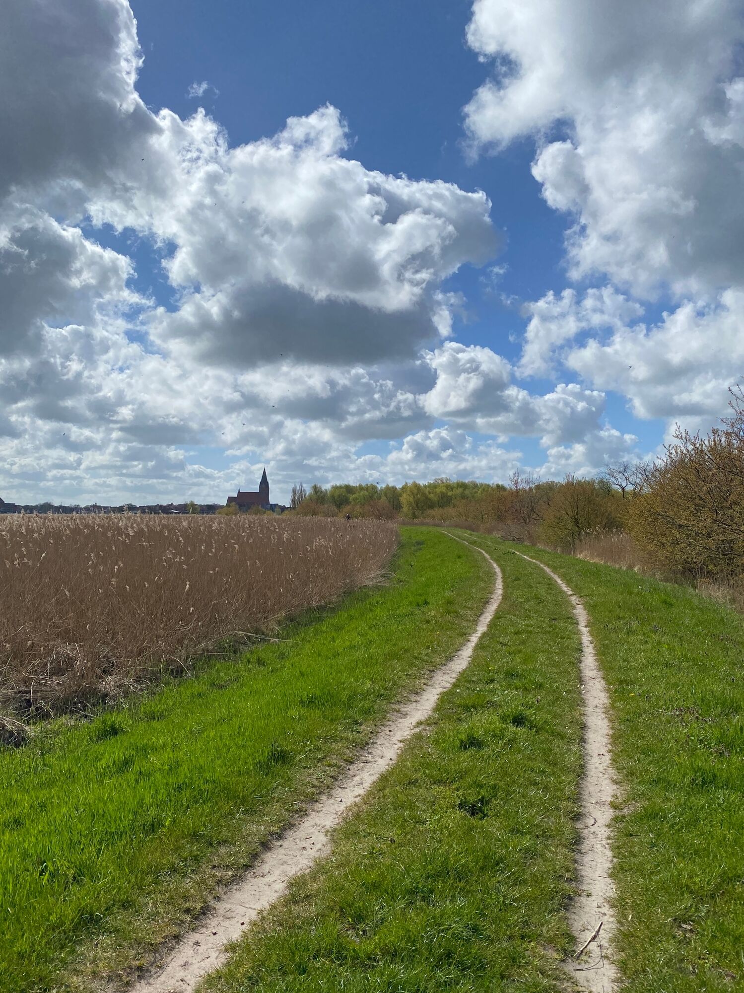 Hier treffen sich Bodden und Wald. Die Hintersten Berge Barths