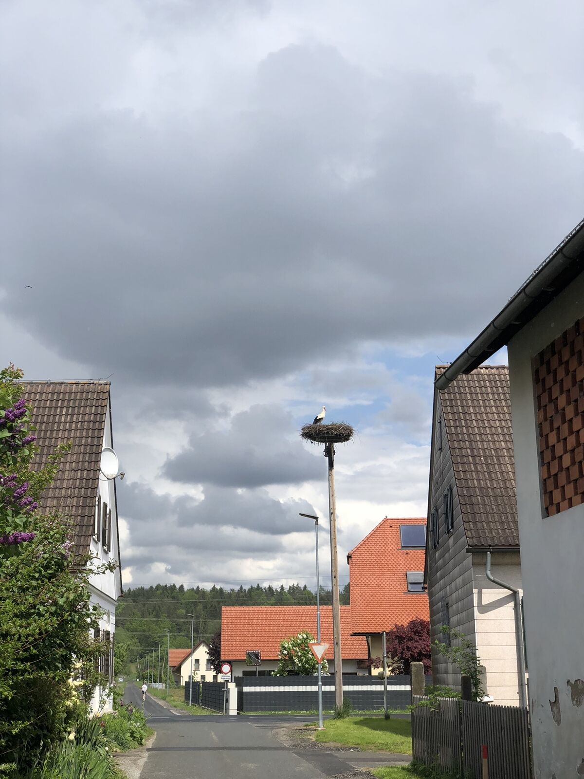 Karte
