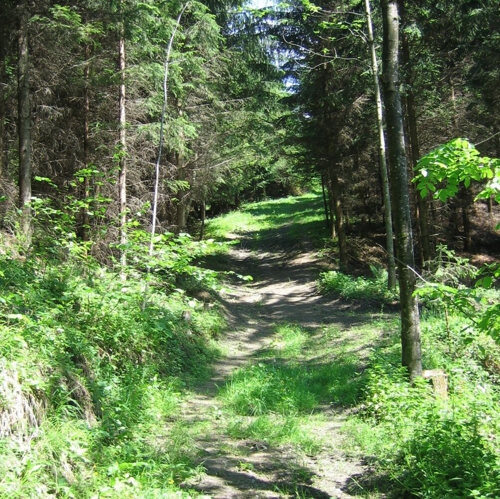 Карта