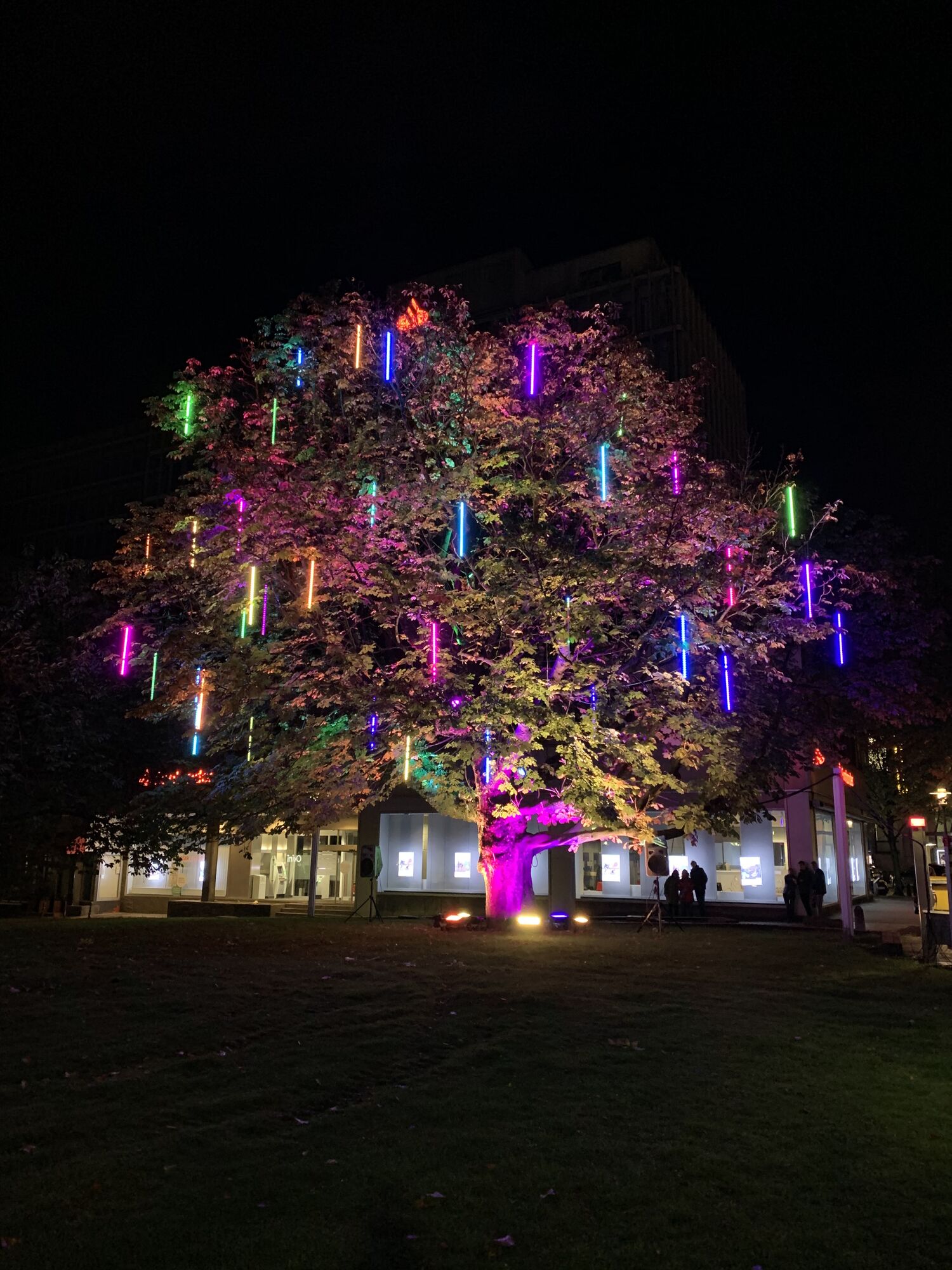Baum der Wünsche.JPG
