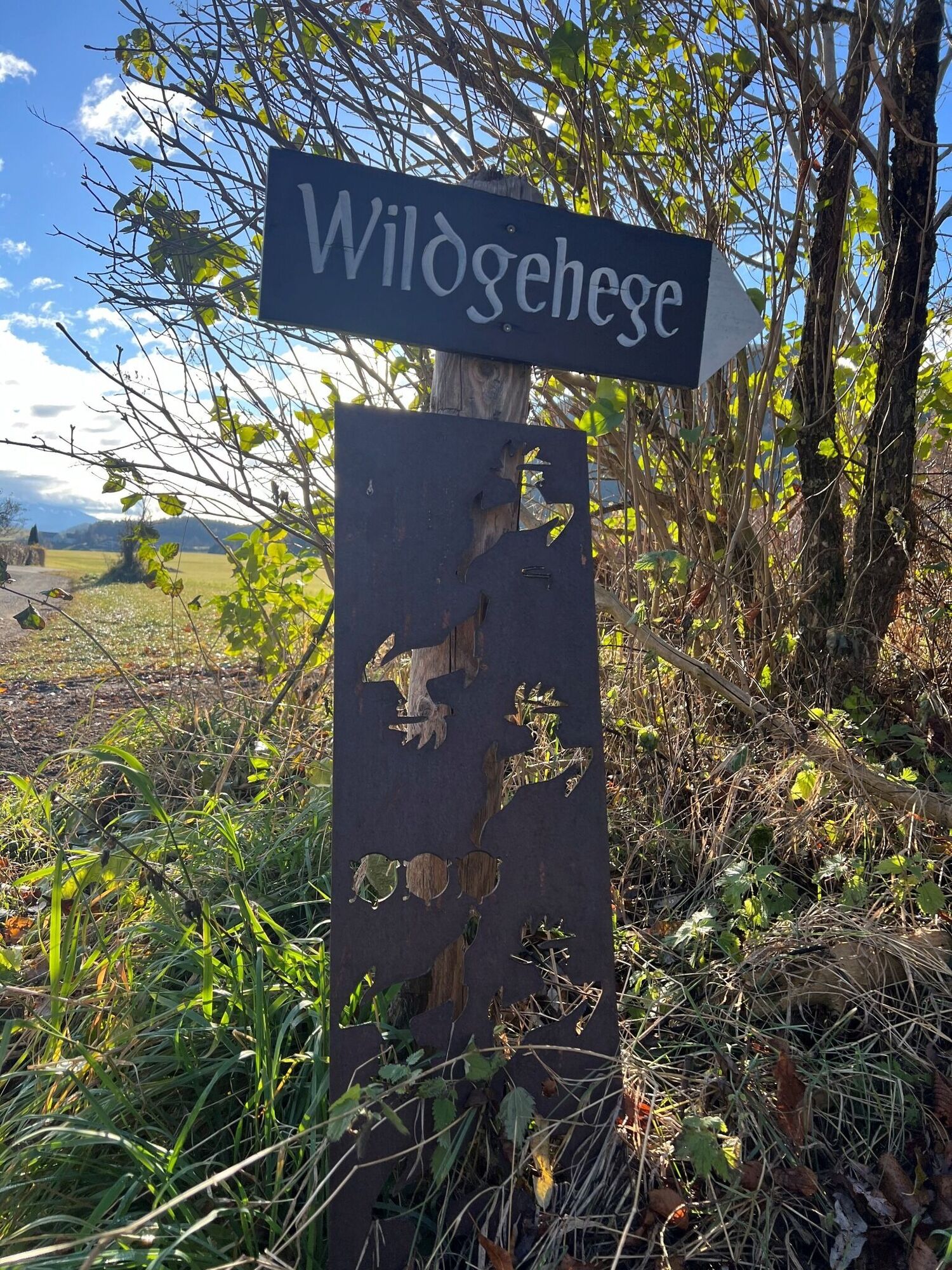 Wildgehege_Oberzeiring_Murtal-Steiermark c Heidemaria Kainer.jpg