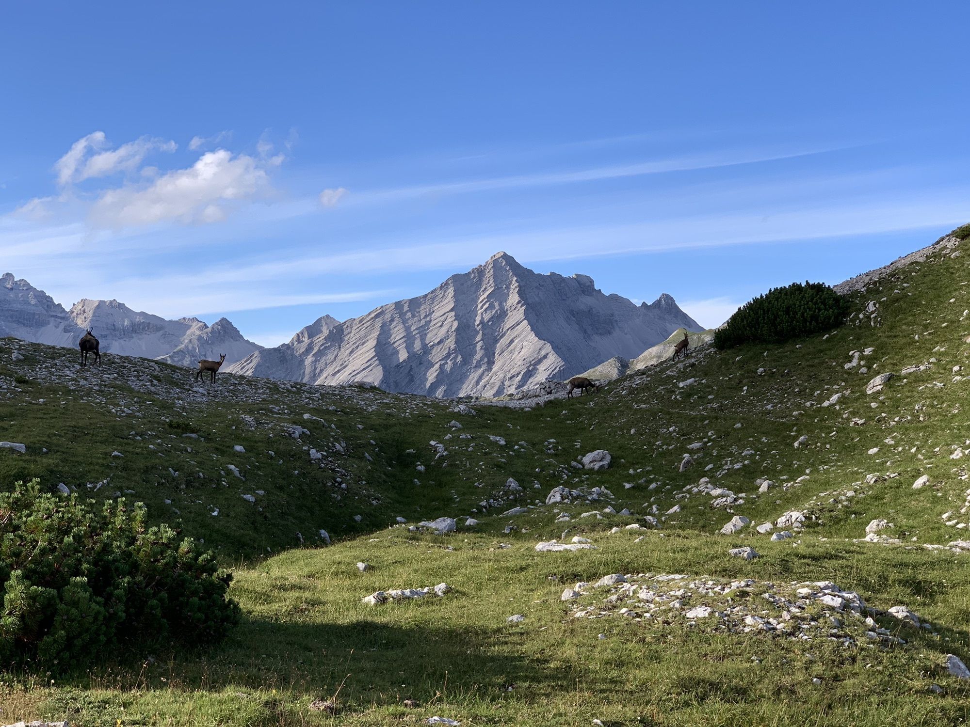Karta