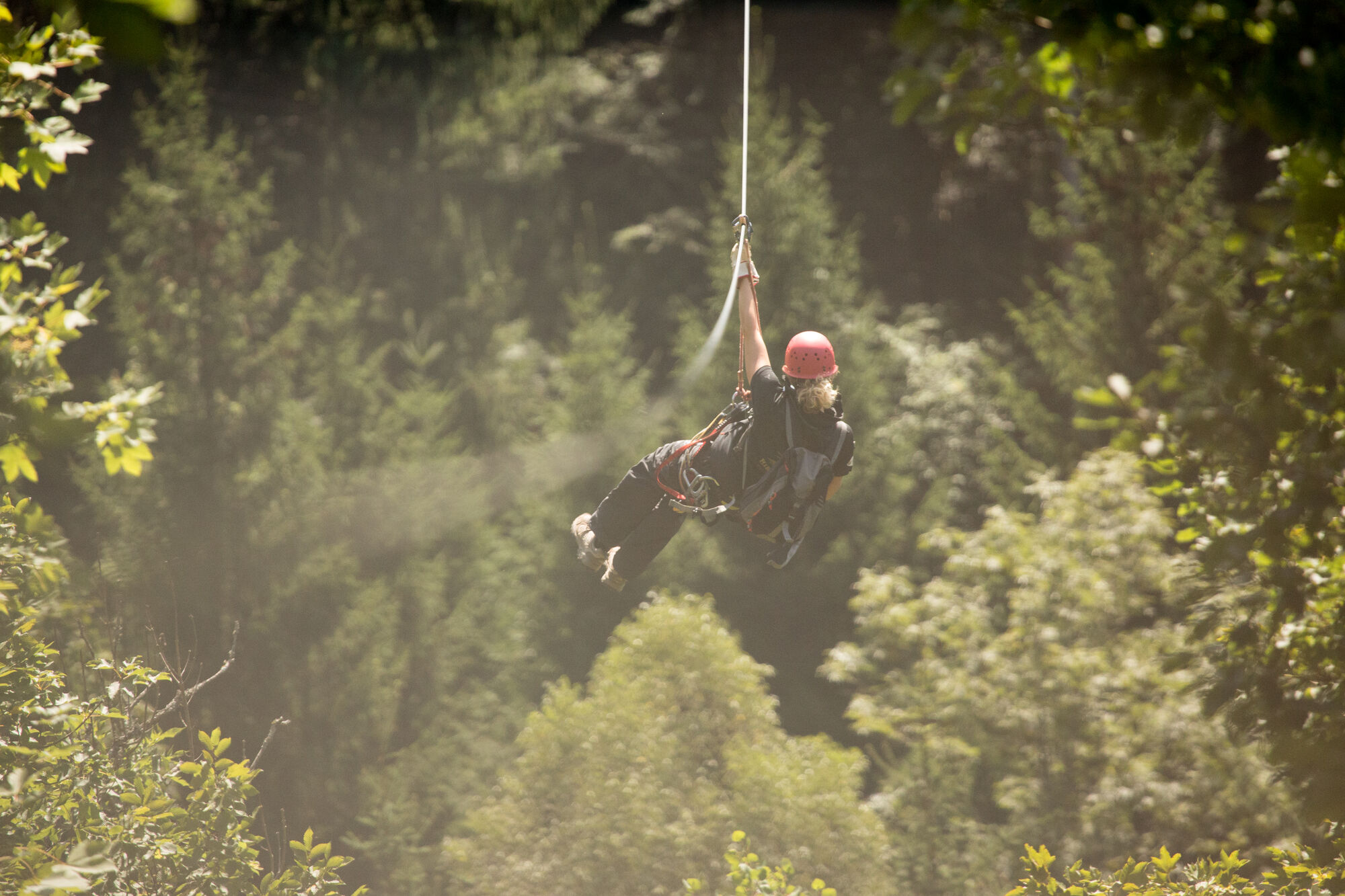 BERGFEX-Sehenswürdigkeiten - Hirschgrund Zipline Area Schwarzwald ...