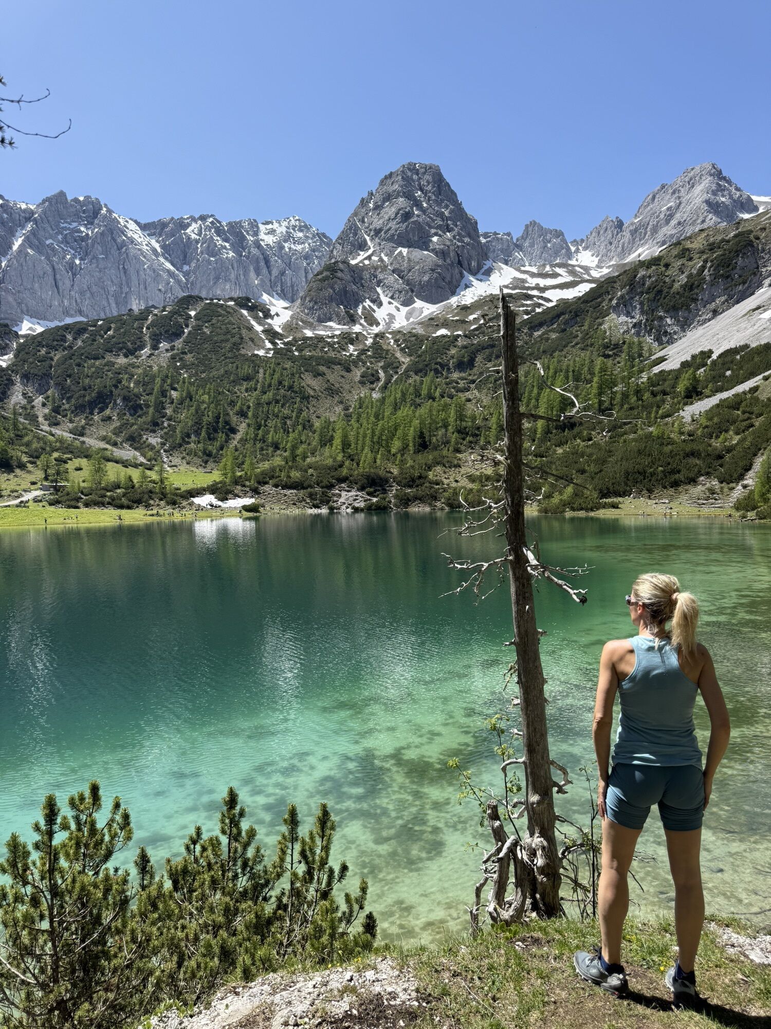 Seebensee Map Seebensee ab Ehrwalder Alm - BERGFEX - Wanderung - Tour Tirol