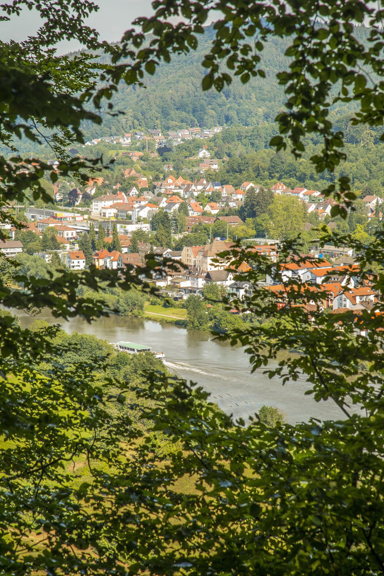 TG Odenwald Neckarsteig Blick auf Neckargemuend