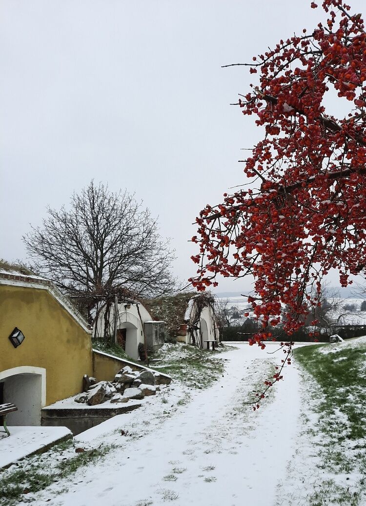 Kellerviertel Edelstal im Winter