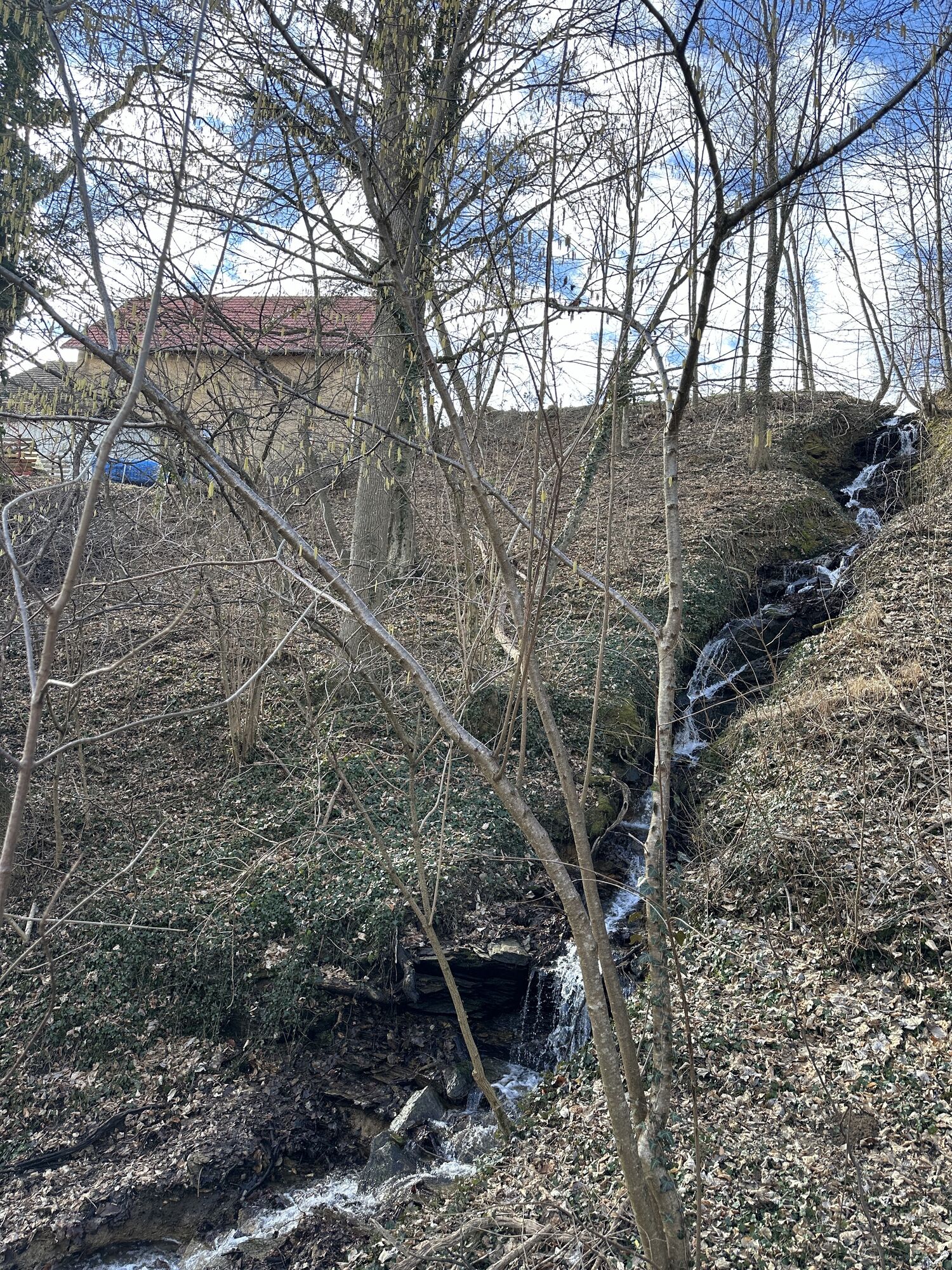 Karte