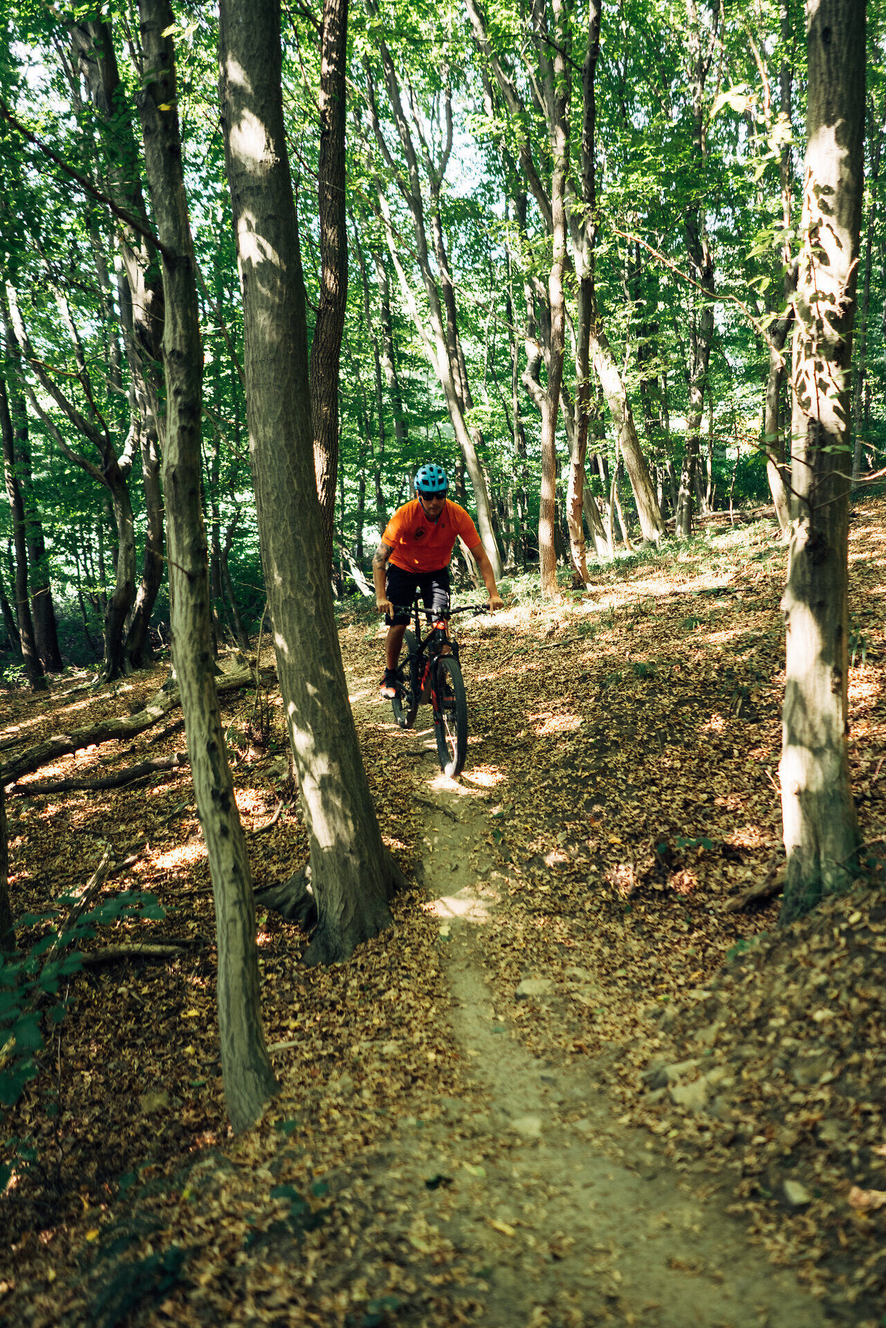 Wienerwald