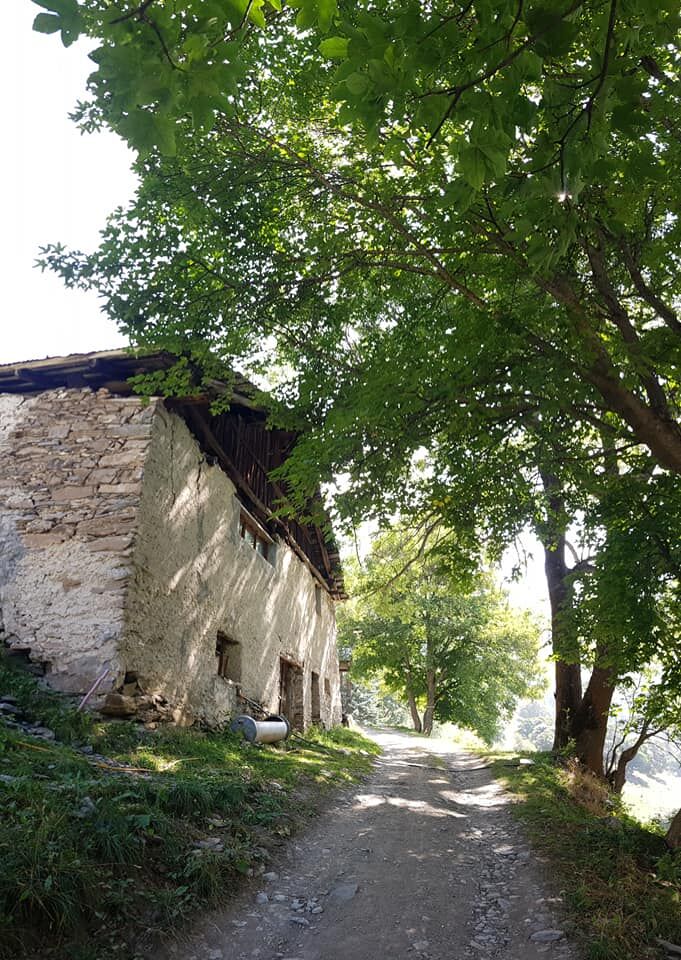 Malafosse Alta