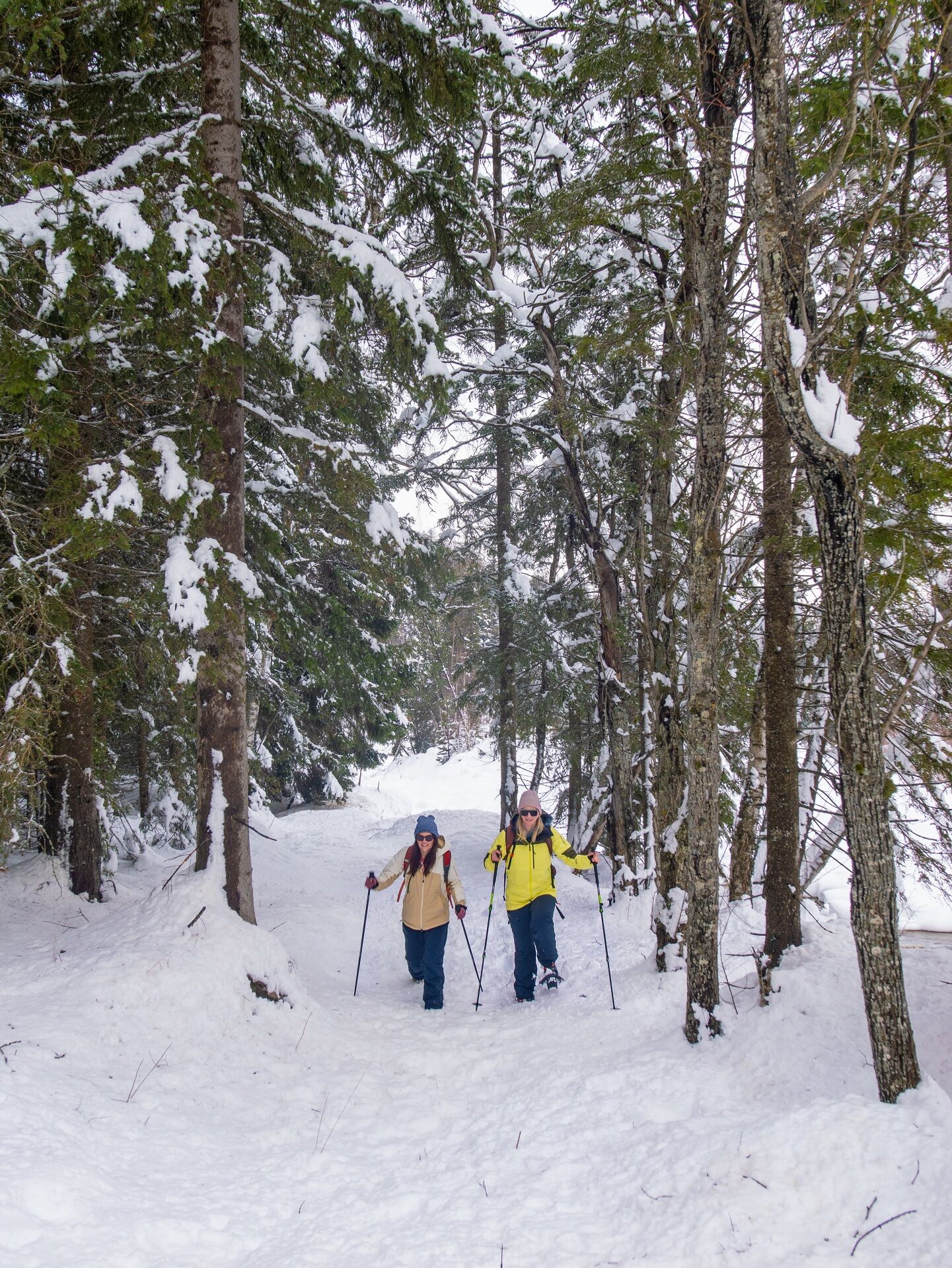 Schläger im verschneiten Wald