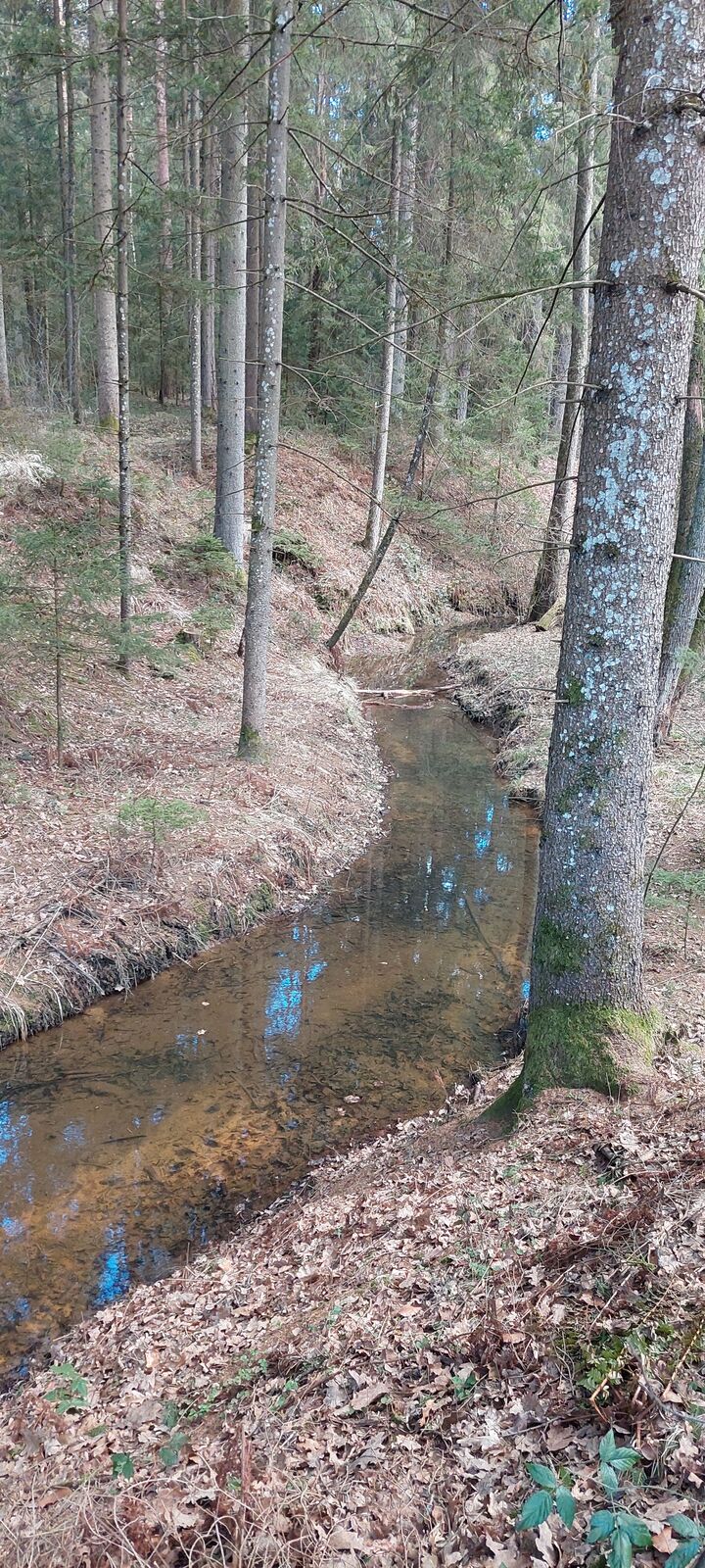 Wundschuher Seen BERGFEX Nordic Walking Tour Steiermark