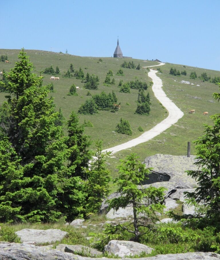Hochwechselstraße hinauf zum Hochwechsel Gipfel_Mönichwald_Oststeiermark