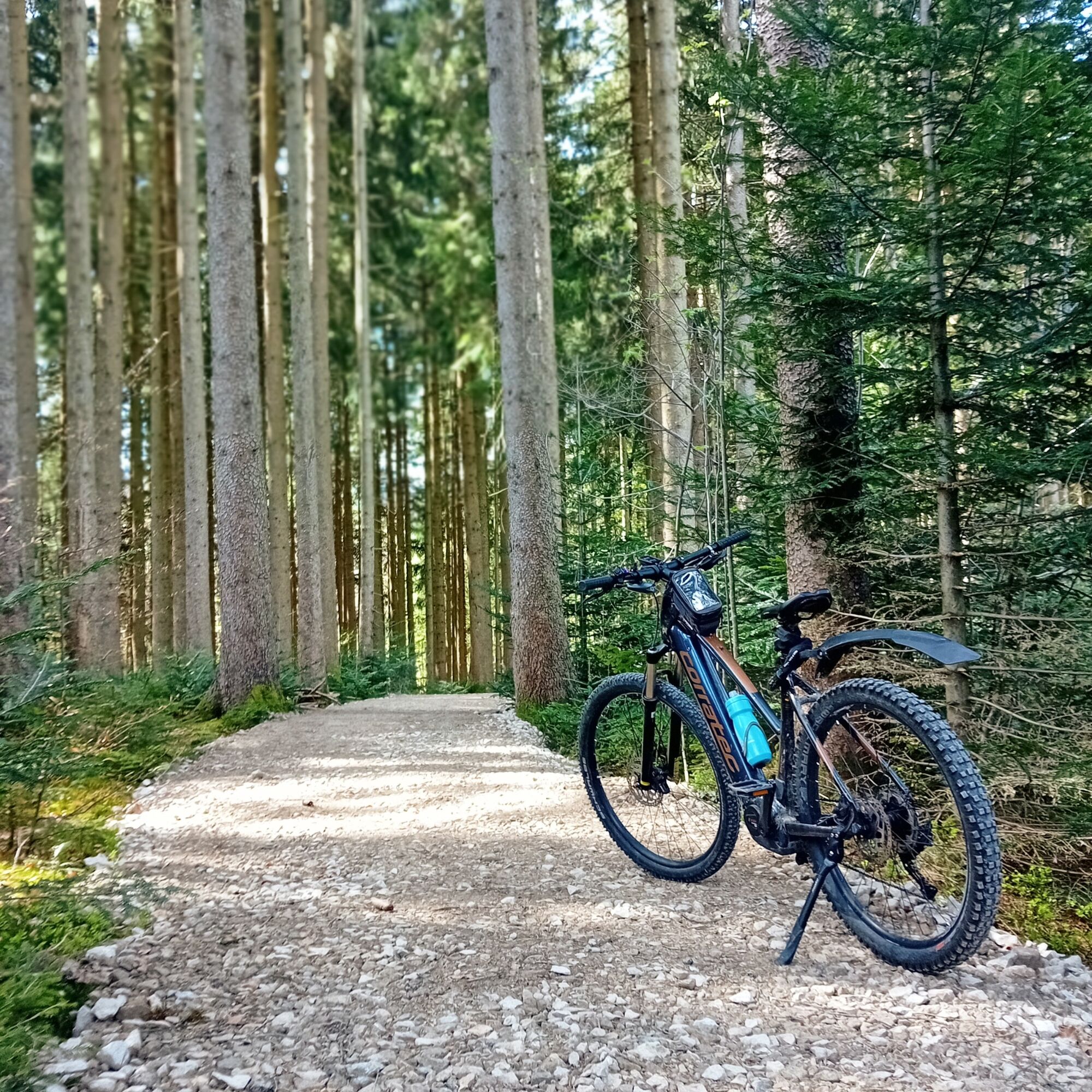 ktm fahrrad preisliste 2017 E-Bike MACINA KAPOHO 7973 – Bikefactory46 Vitrine aus Plexiglas® für weiches Haaband Farbe:silber (warm silver)