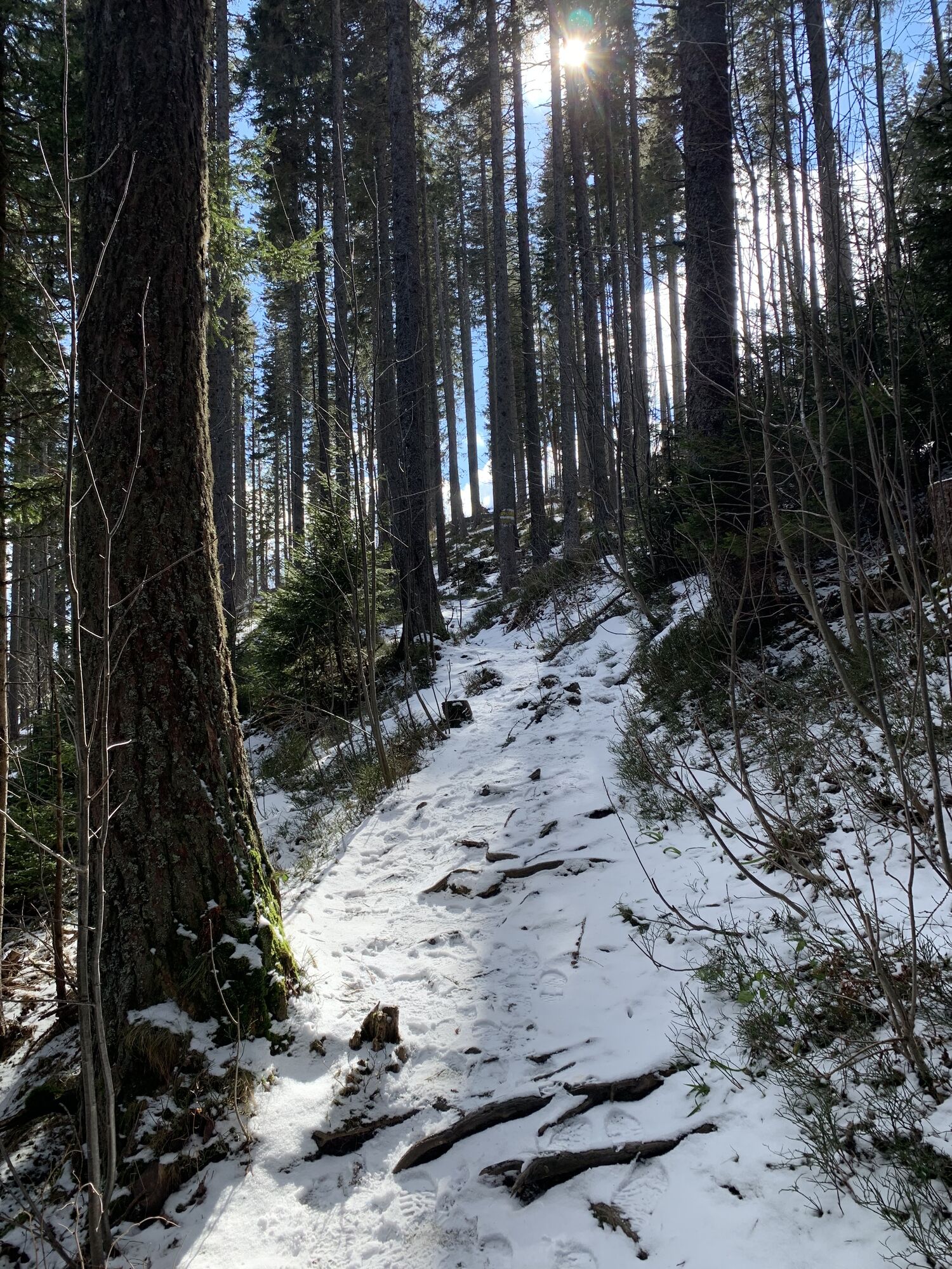Karte