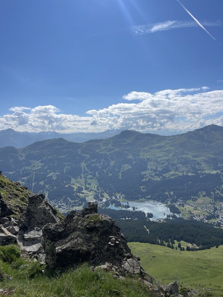 Foil Cotschen
