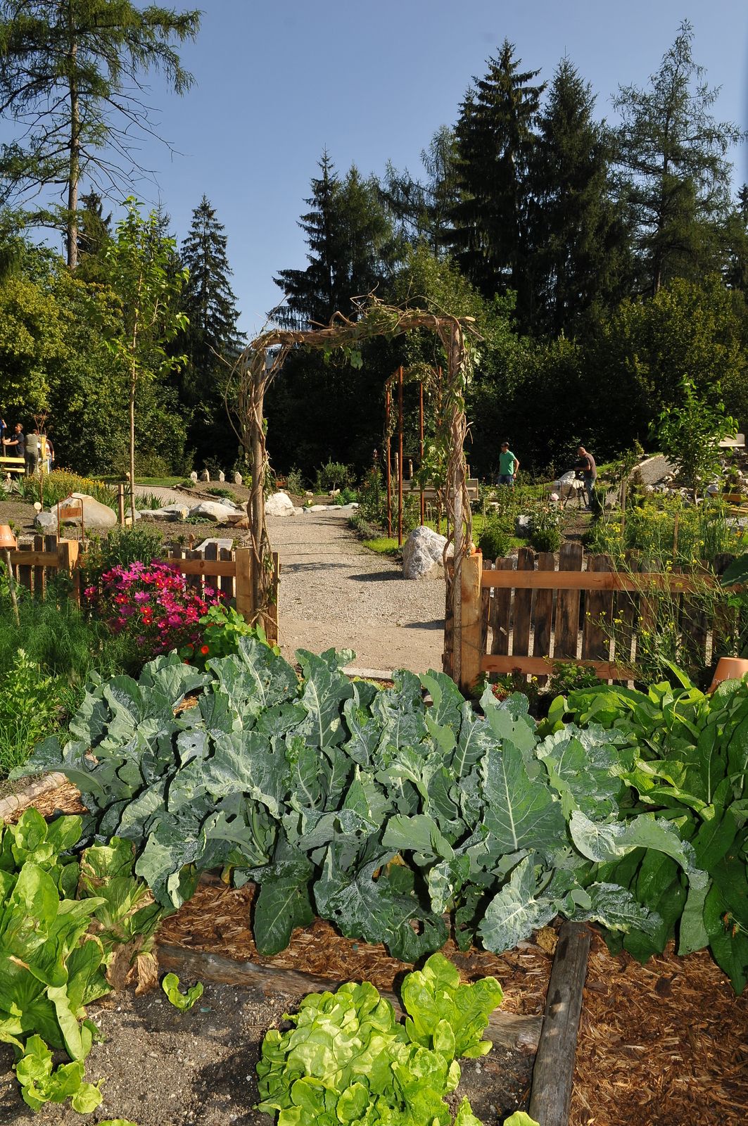BERGFEXSehenswürdigkeiten Hildegard von Bingen Kräutergarten Reith