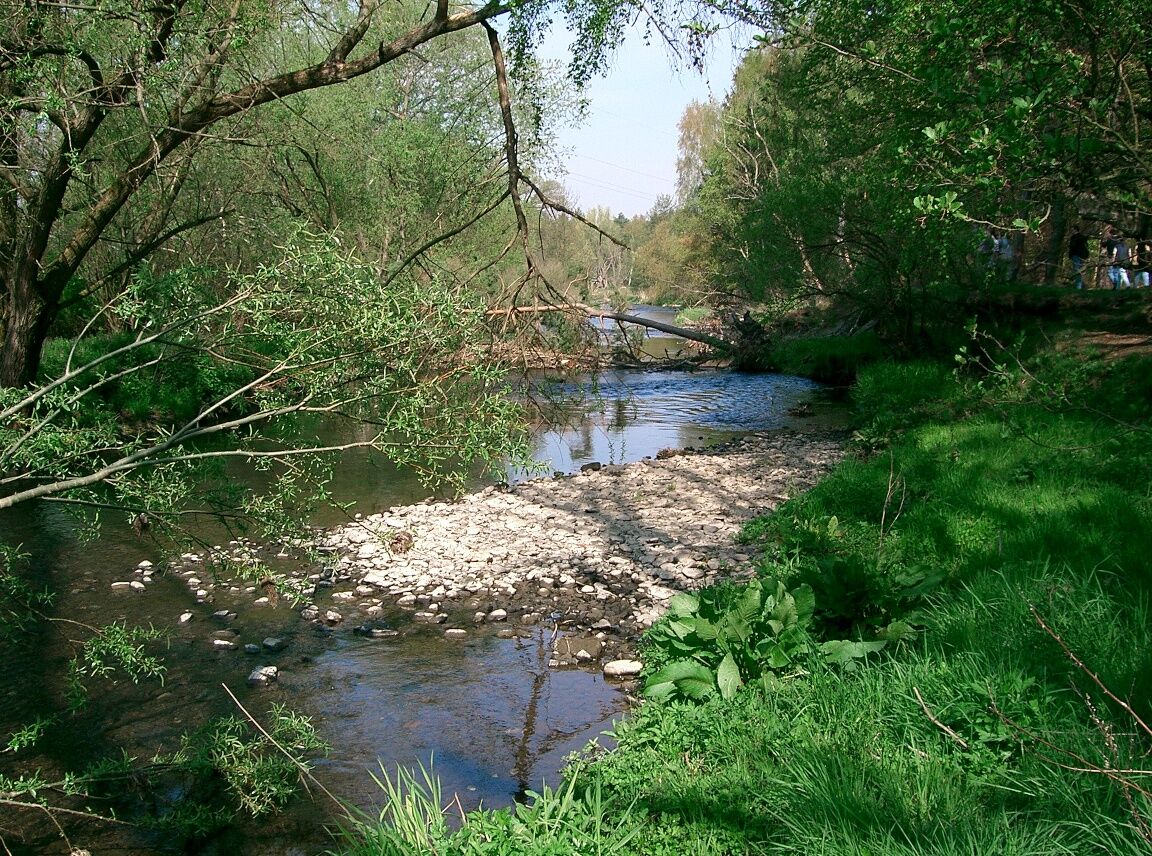 Innerste Naturatlas SZ 1: Innerste - Wanderung Niedersachsen - bergfex