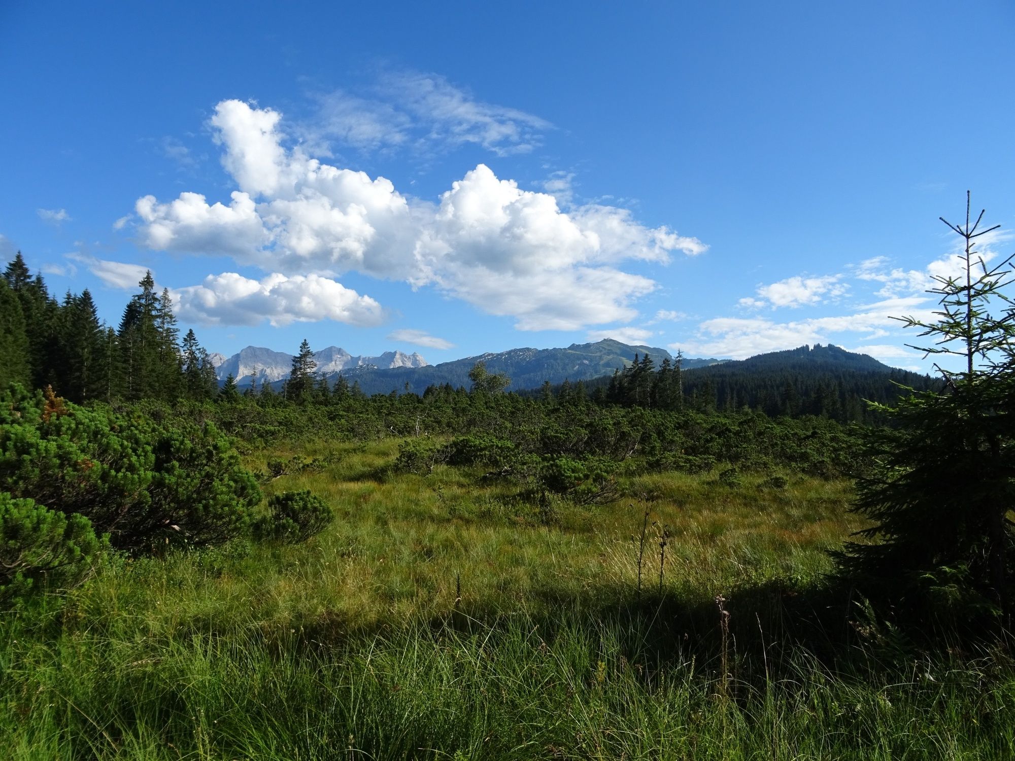 Rundtour Heutal - Winklmoosalm - Moarlack - Heutal - BERGFEX