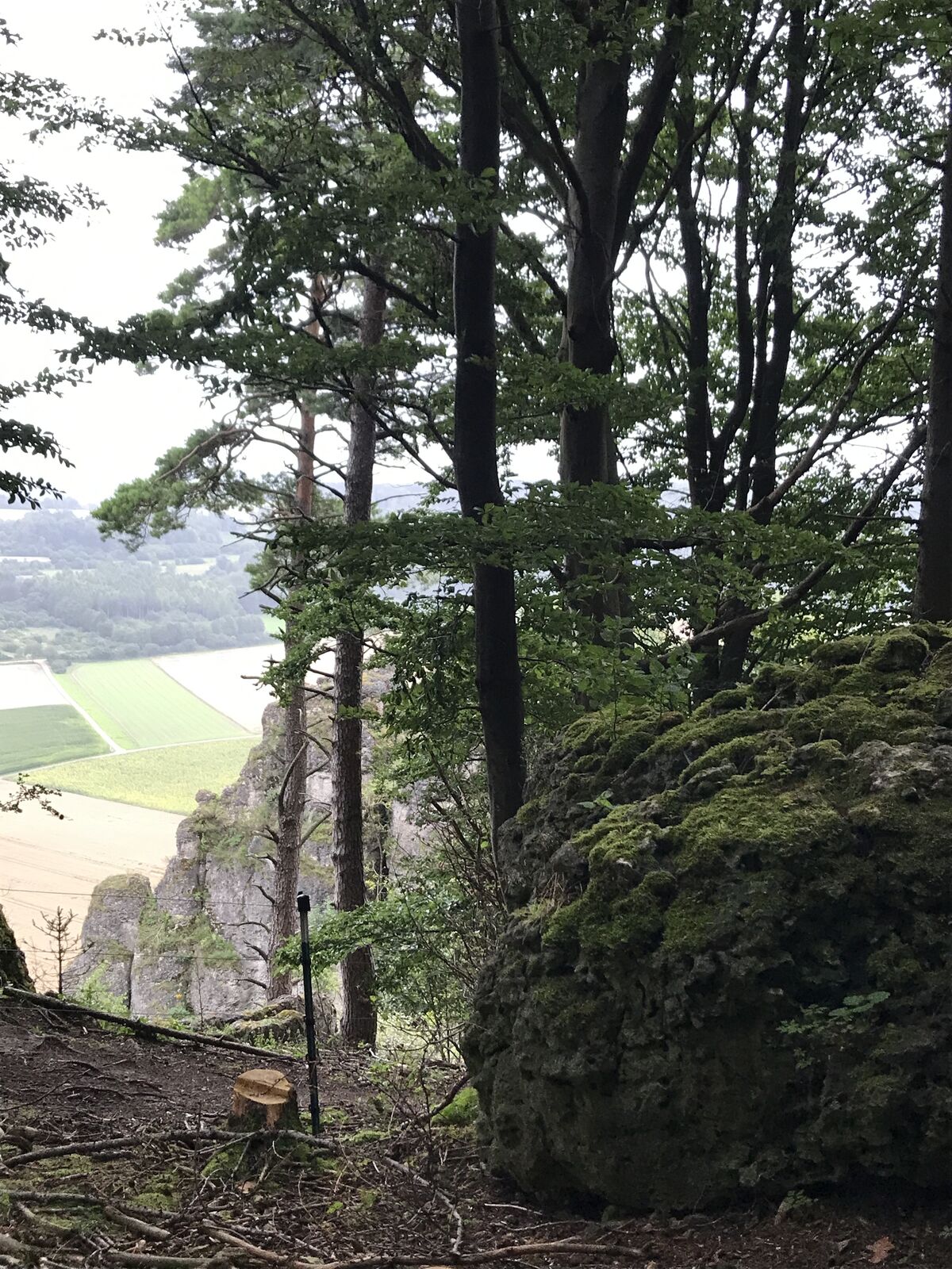 Schambach Kipfenberg Rundweg BERGFEX Wanderung Tour Bayern