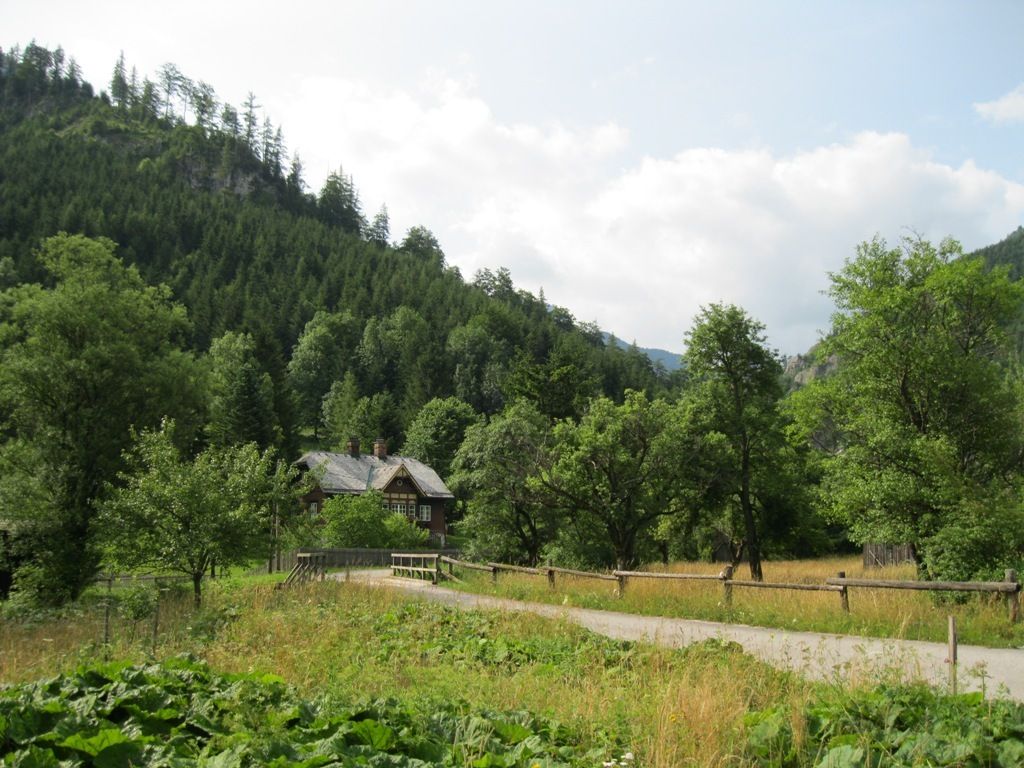 Mürzsteger Alpen Zum Sonnleitstein BERGFEX Wanderung Tour