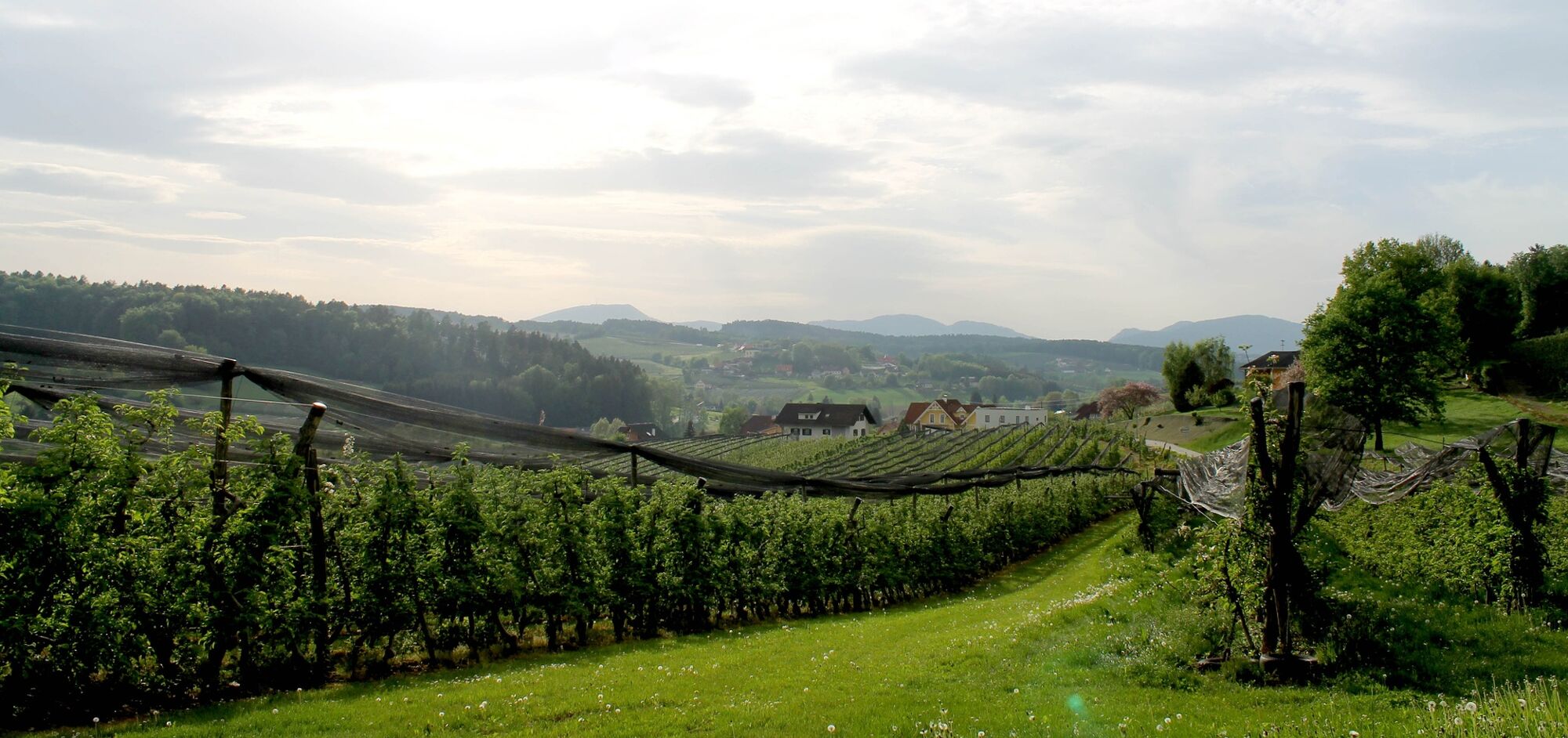 Karta