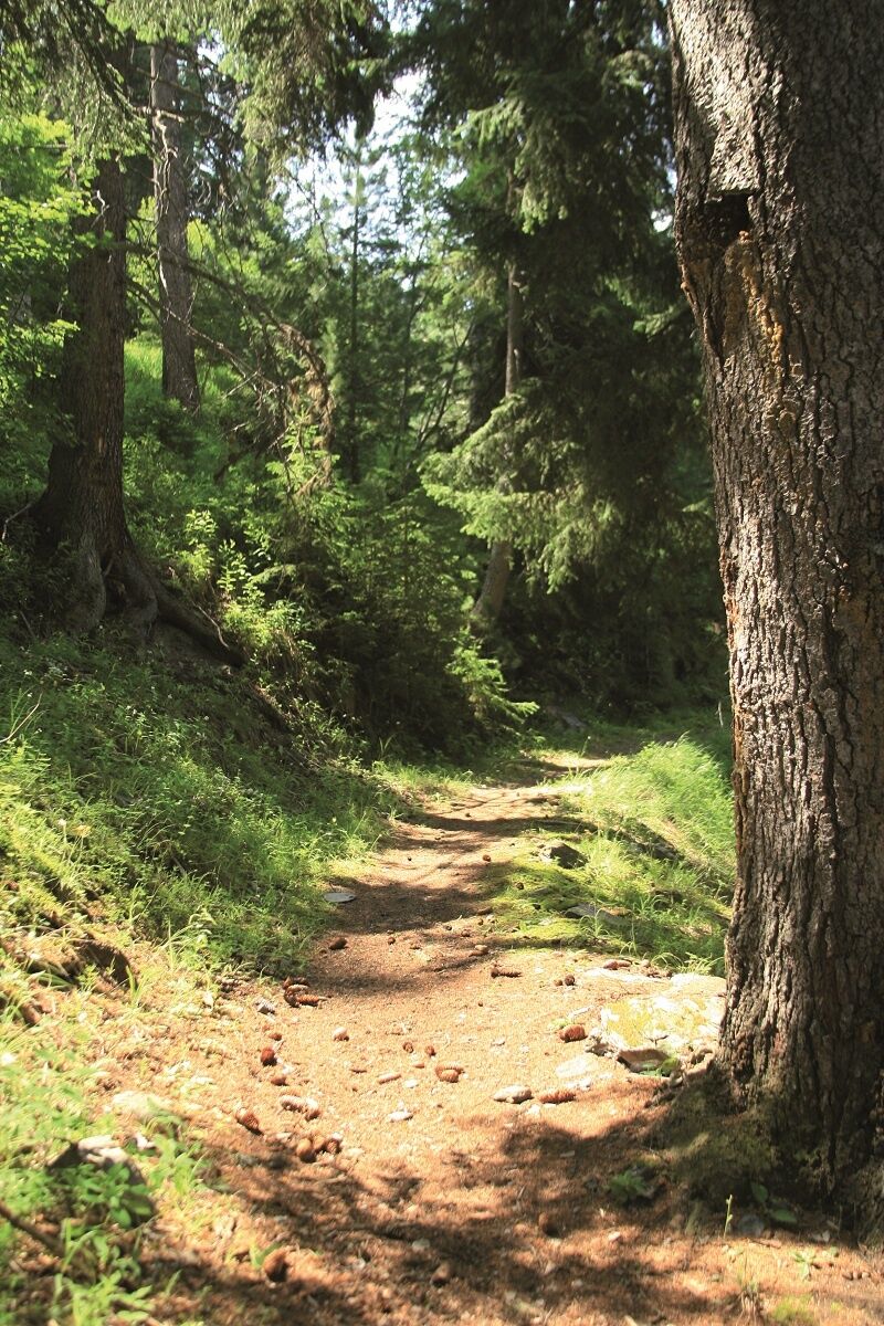Chemin des Gardes