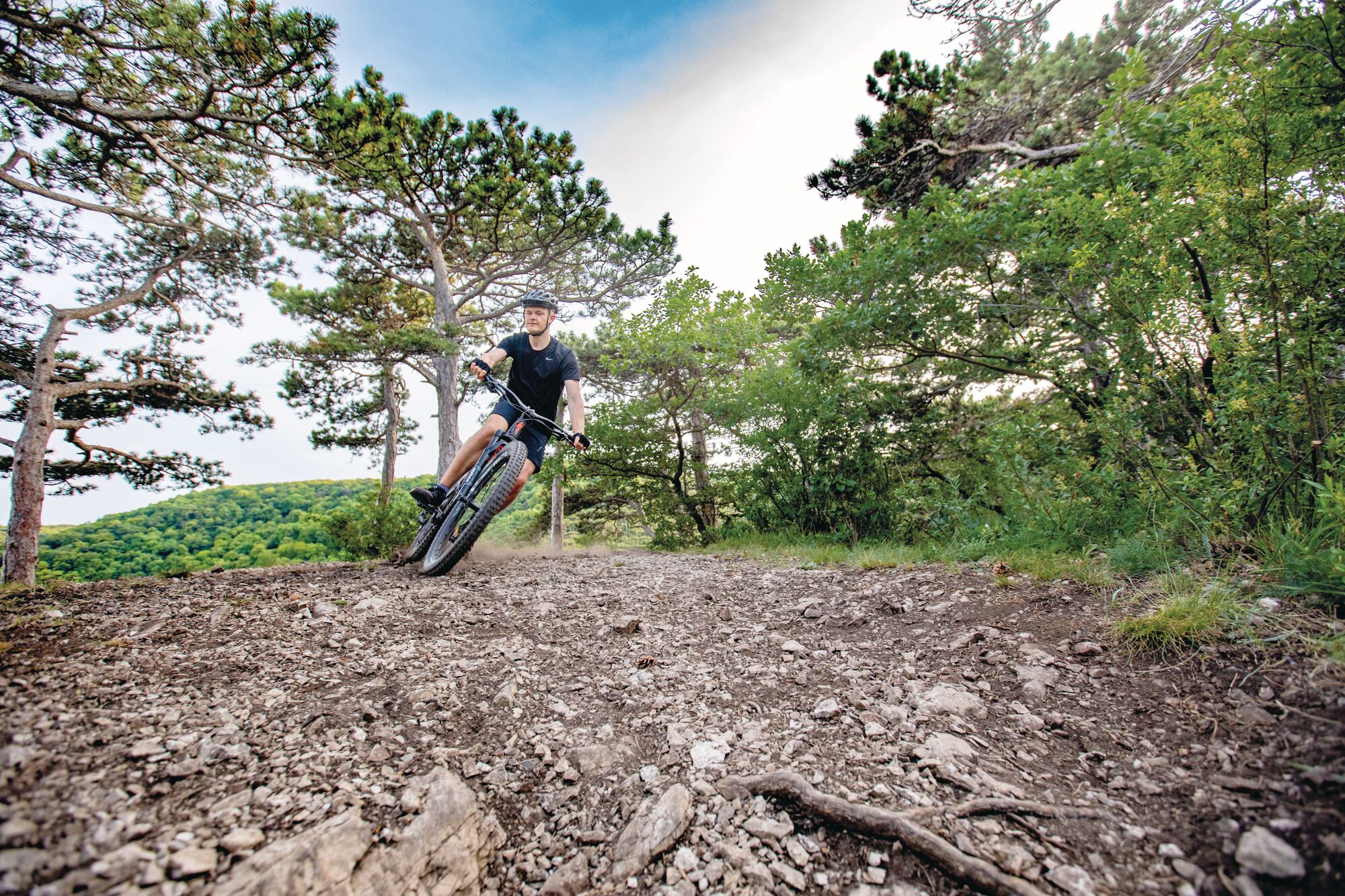 trekkingrad ohne schutzblech Nextcover – universell & spritzwassergeschützt Category:E Bike_BOSCH  