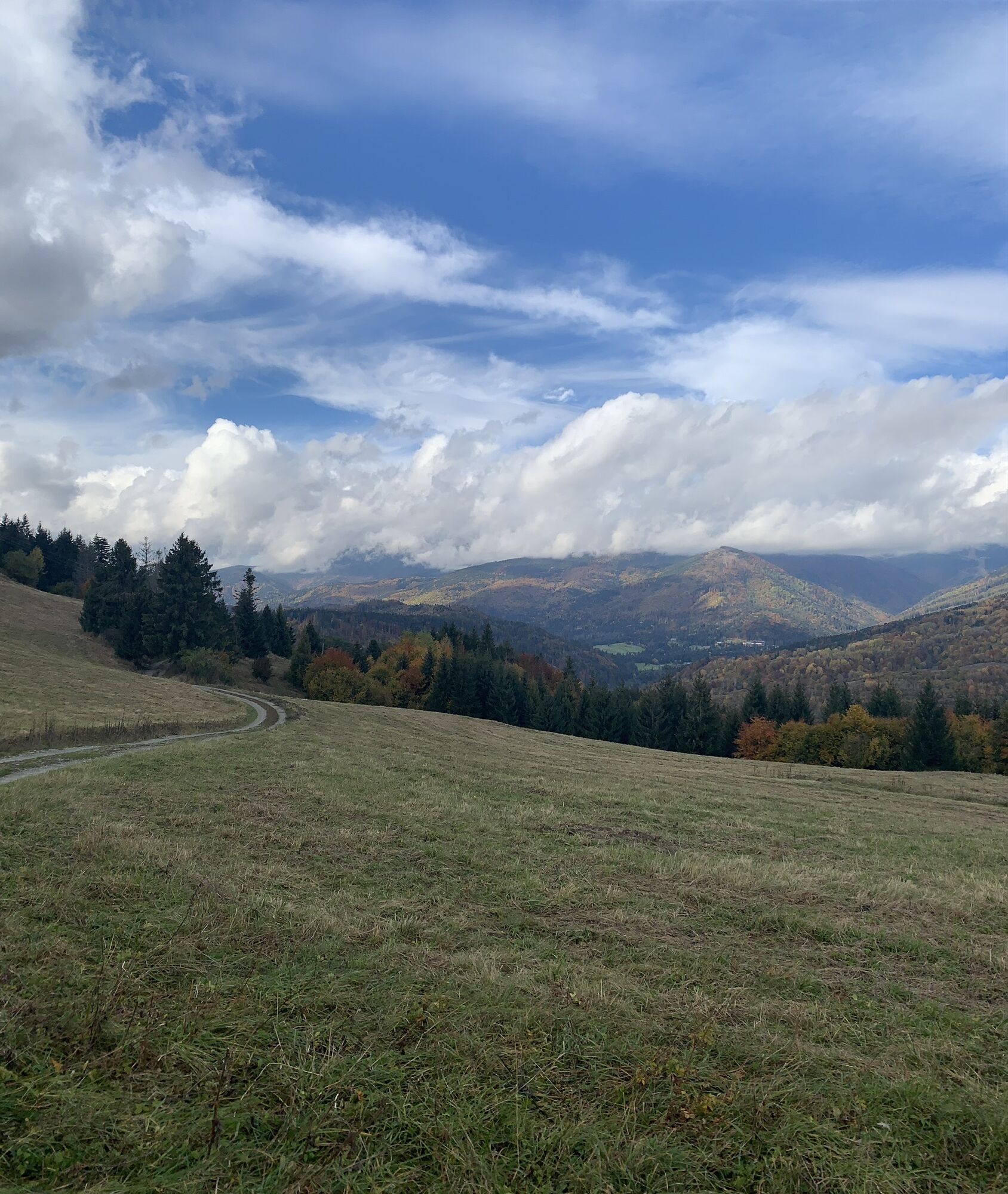 Round trip from Hotel Bystrá BERGFEX Wanderung Tour Neusohler