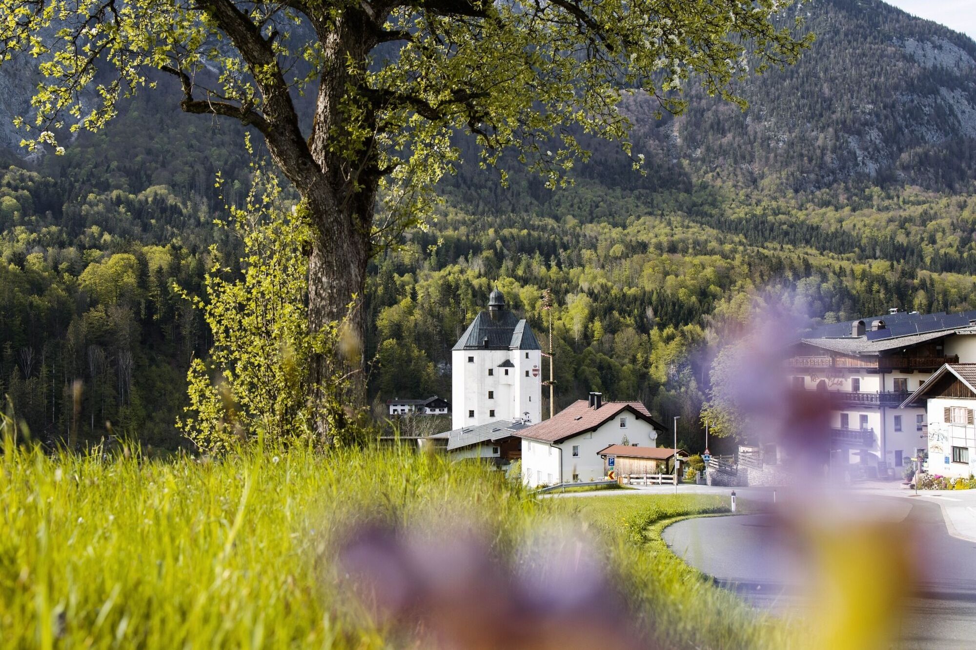 Mariasteinerrunde über Moosbach - Wanderung Tirol - bergfex