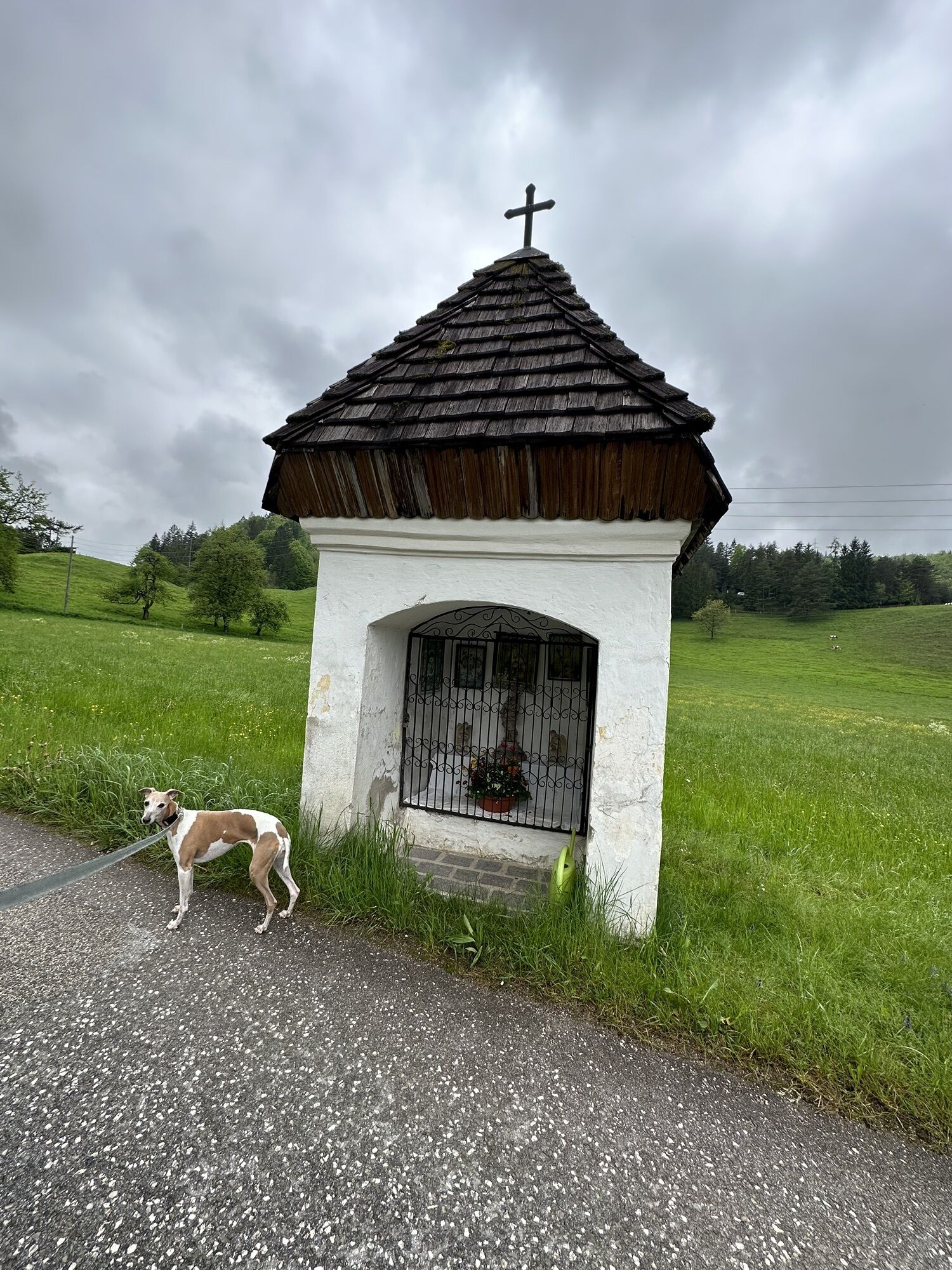 Steyrdurchbruch / Forsthub BERGFEX Wanderung Tour Oberösterreich