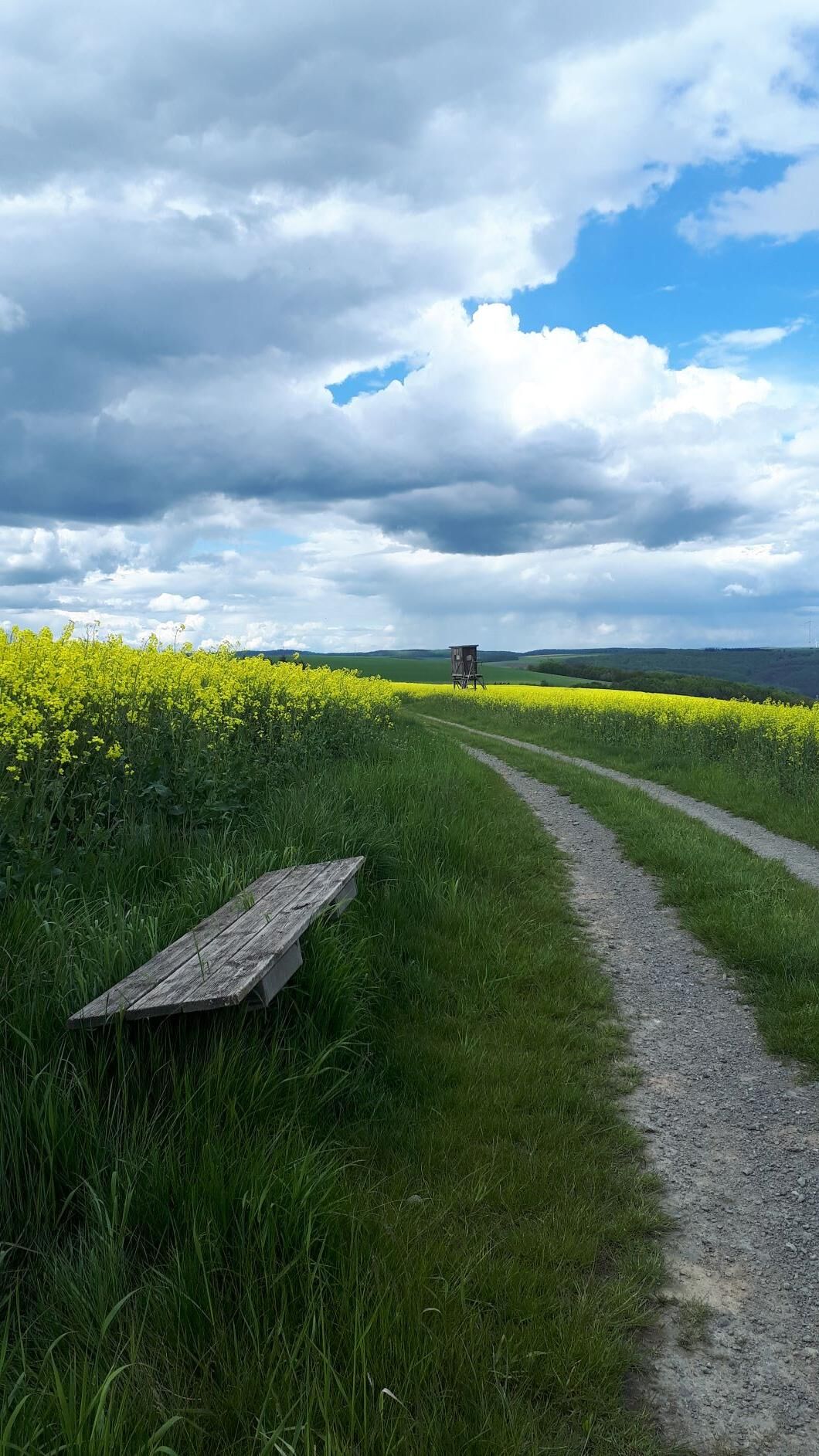 Wieder einer dieser vielen Ruheplätze am Pfälzer Höhenweg