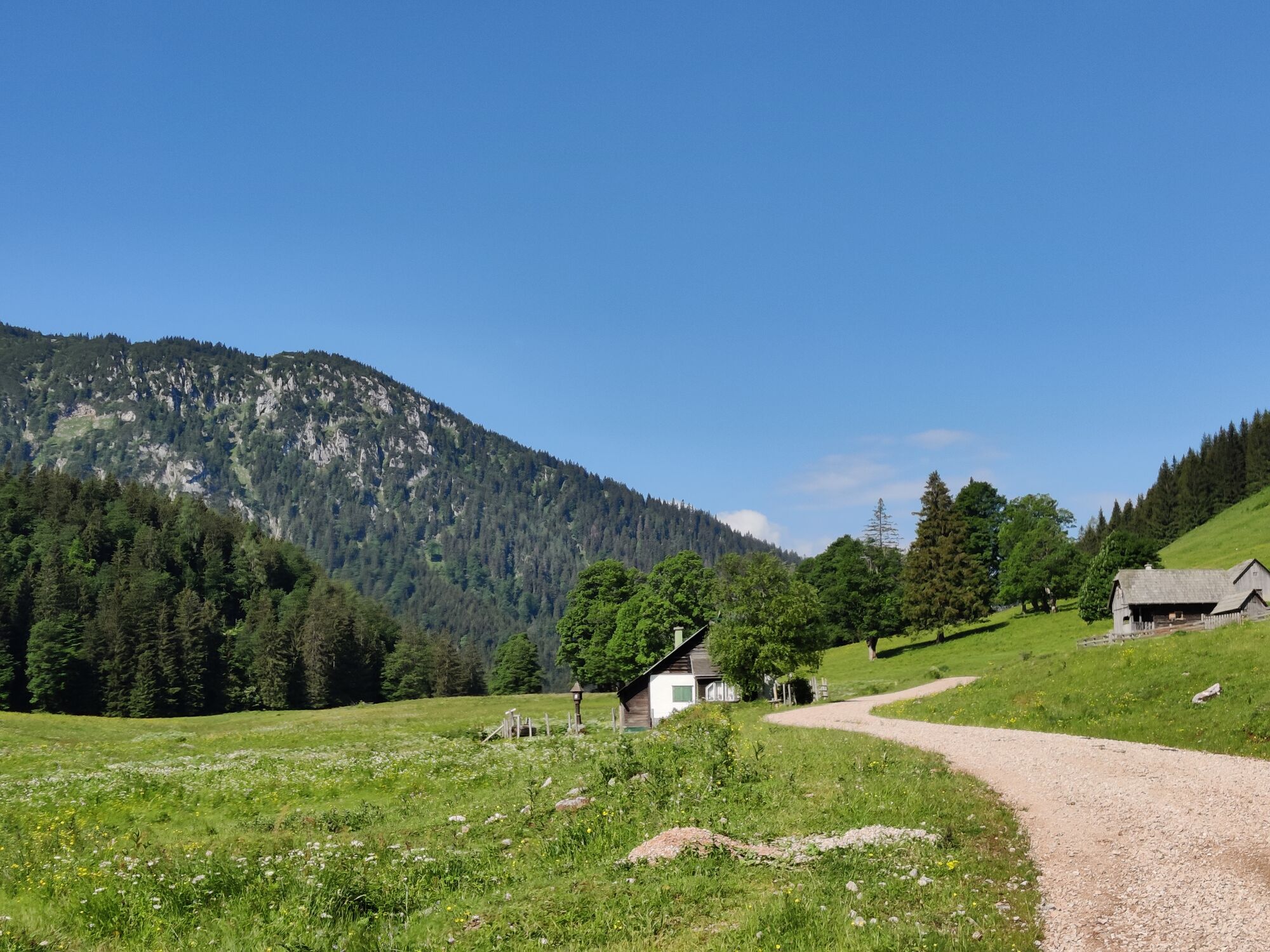 Frein-Mariazell: Bgld Mariazellerweg 3. Etappe - BERGFEX - Wanderung ...