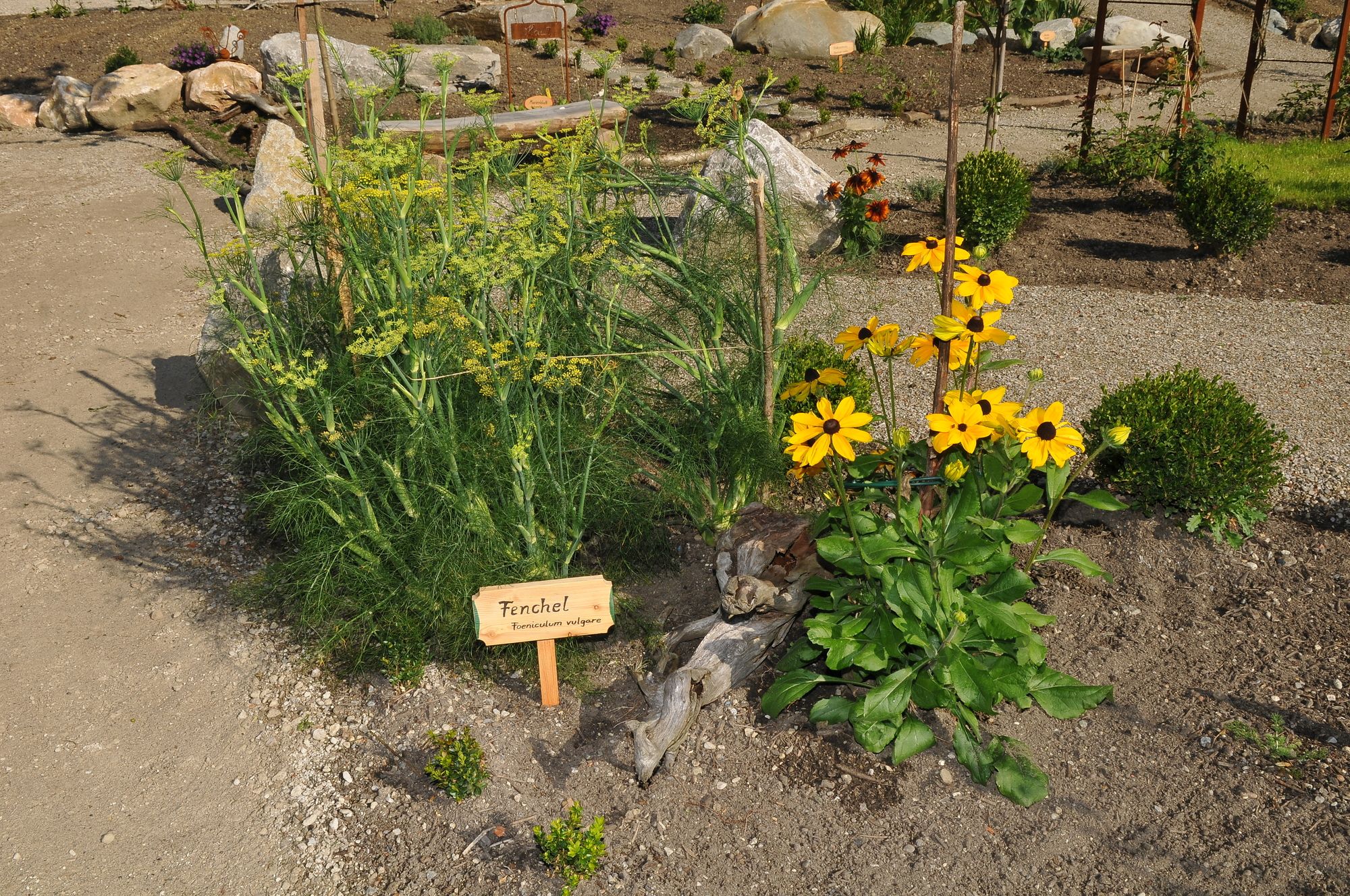 BERGFEXSehenswürdigkeiten Hildegard von Bingen Kräutergarten Reith