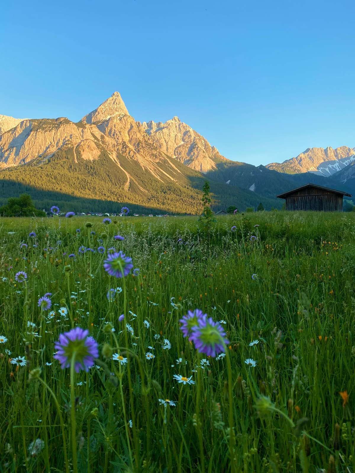 TVB Natur Sommer 102.jpg