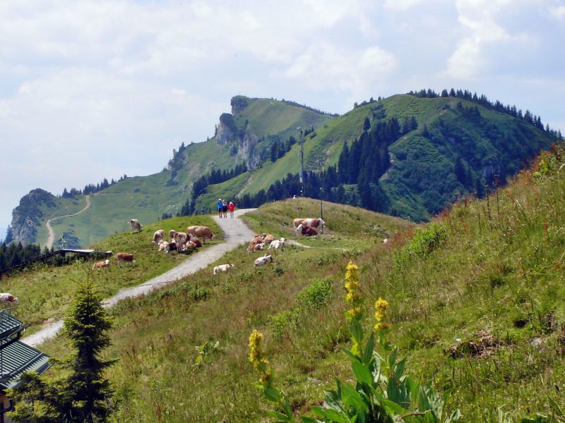 Bergtour Von Lenggries Auf Das Brauneck über Kotalm - BERGFEX ...