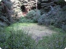 "Weringer Pohl" Lippspringer Wald