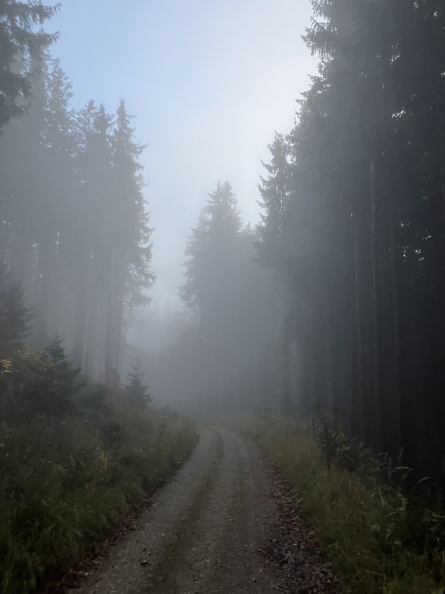 Auf den Weg hinauf