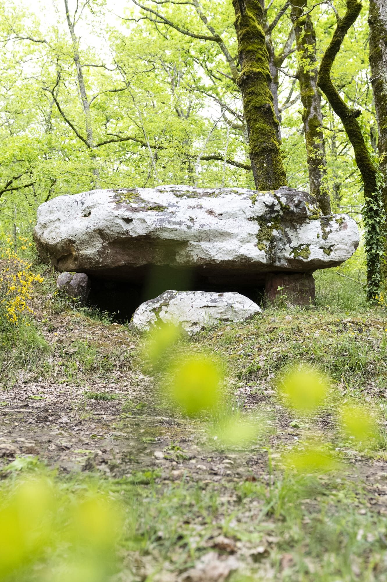 03-Printemps-StChamassy-Randonnee-Rocher-InstapadesStudio-4302-2000px
