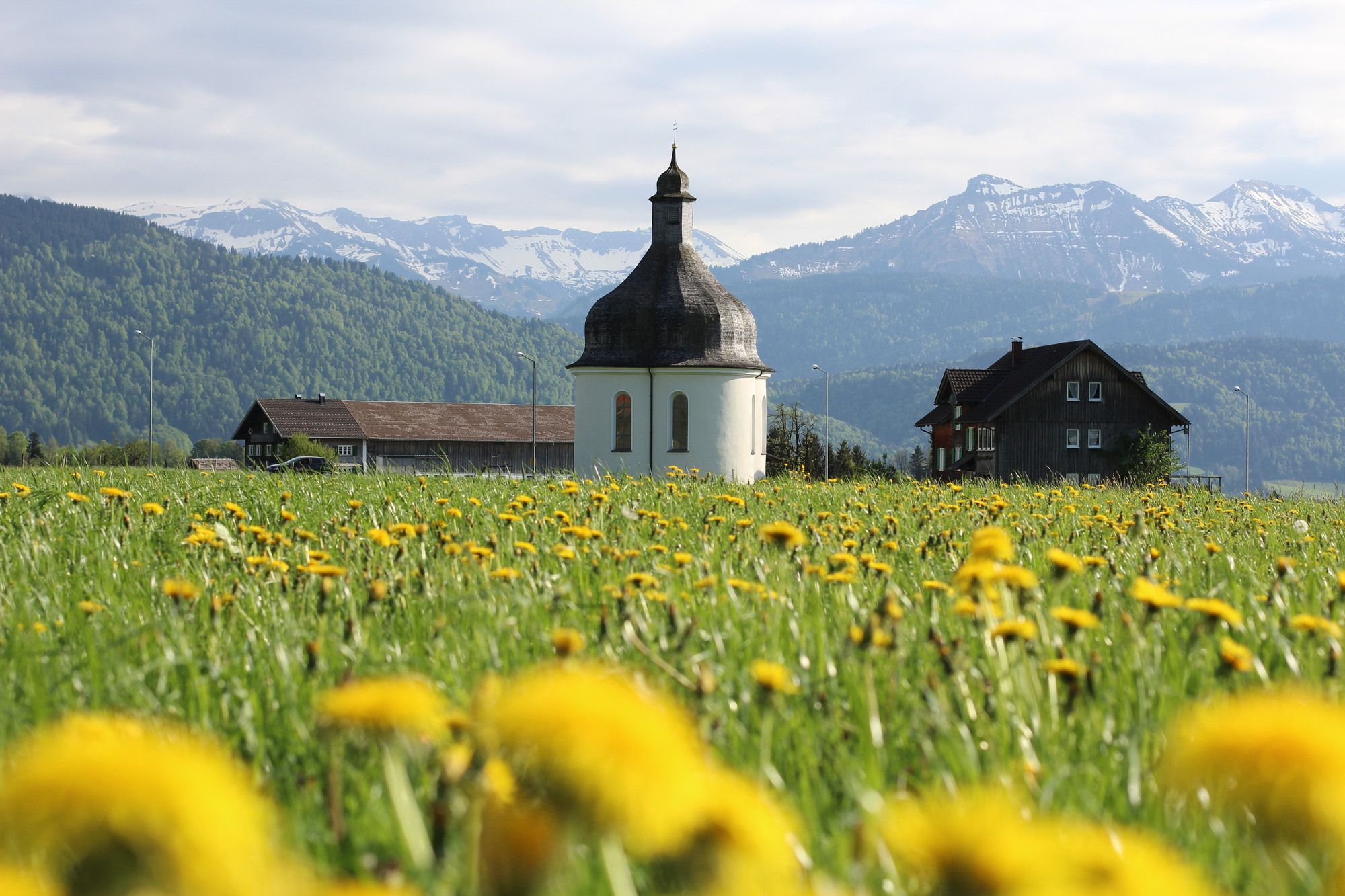 BERGFEX Bilder Lingenau Fotos