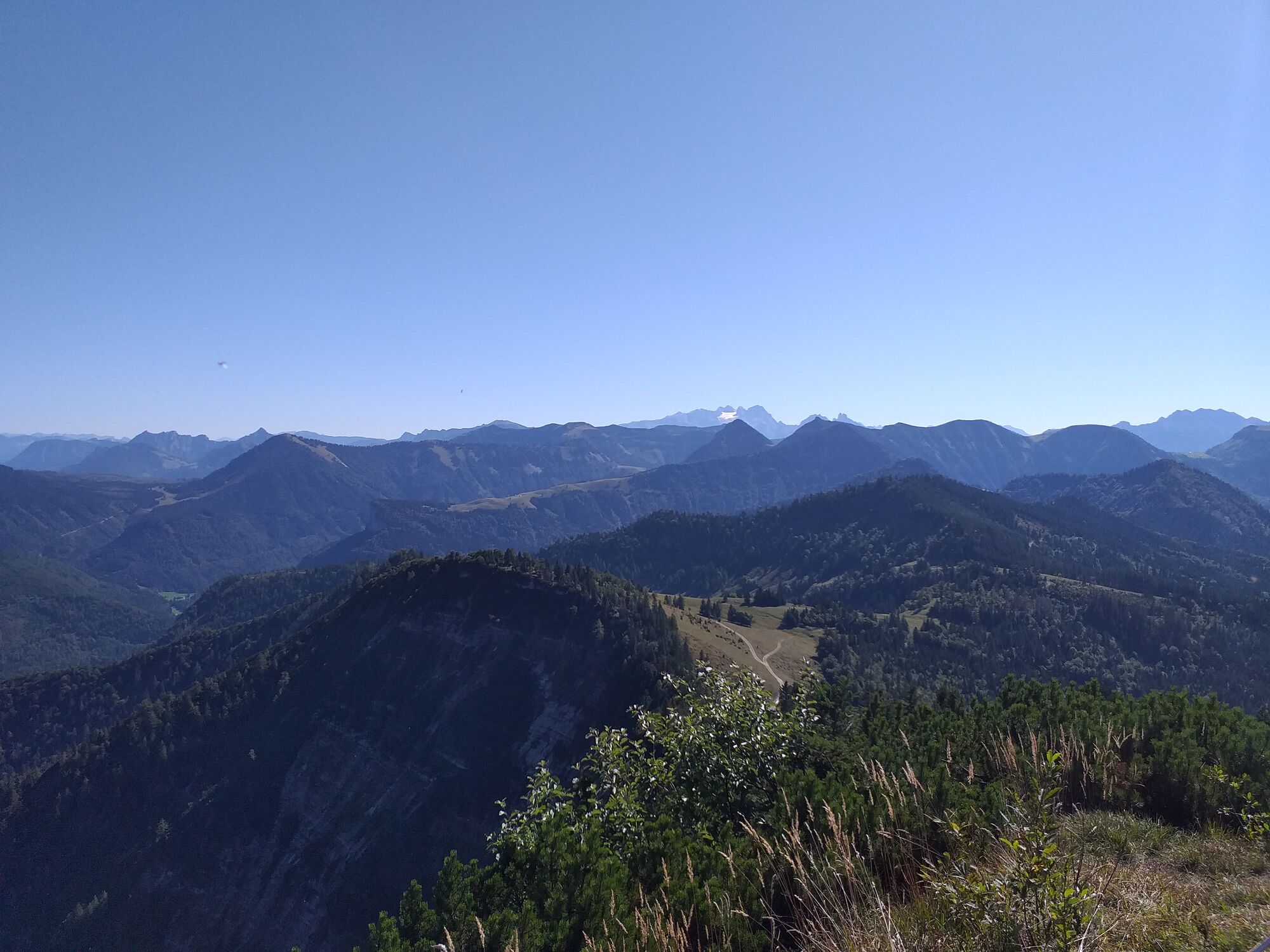 Hintersee auf Wieserhörndl, Salzburg - BERGFEX - Wanderung - Tour