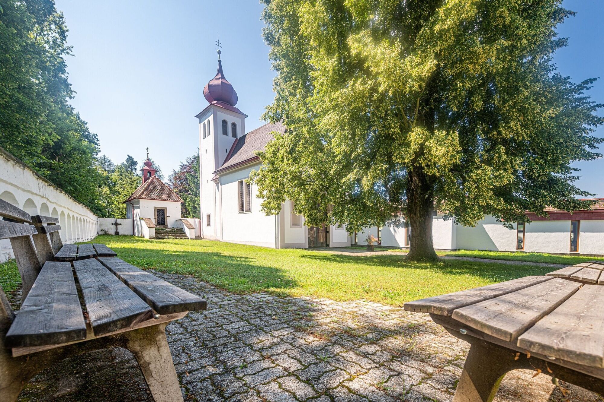 Zemljevid