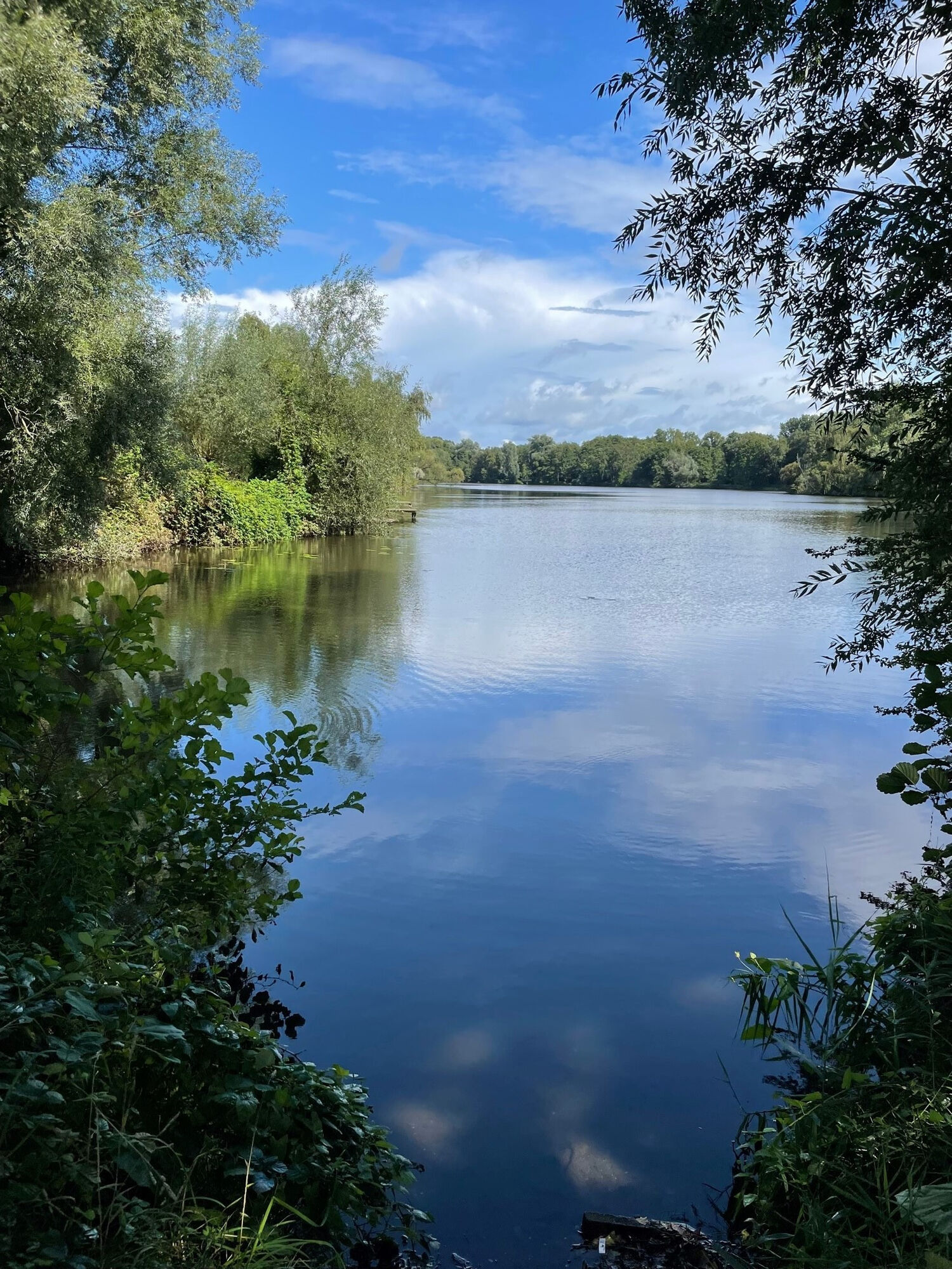 Borner See