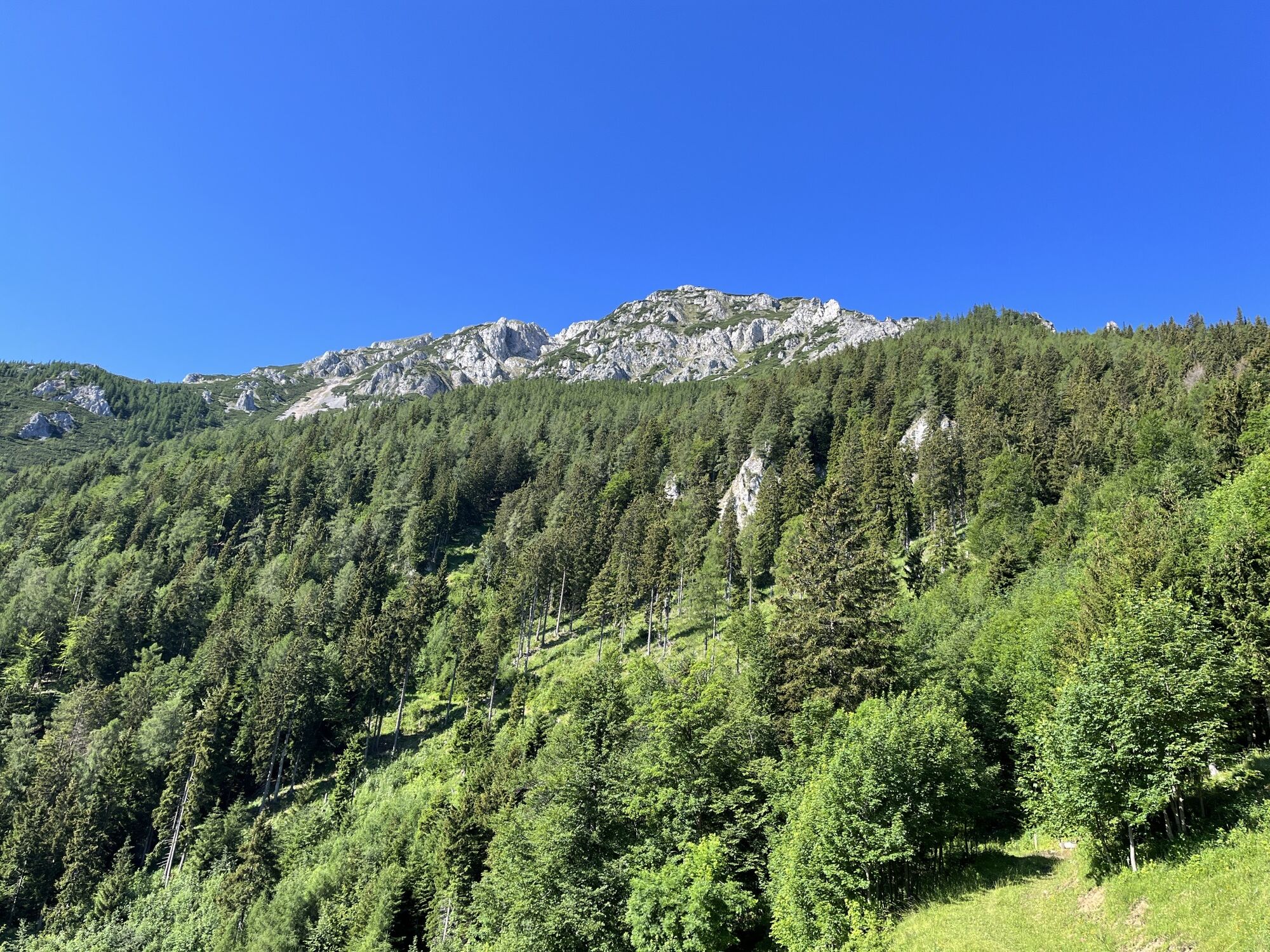 Karte
