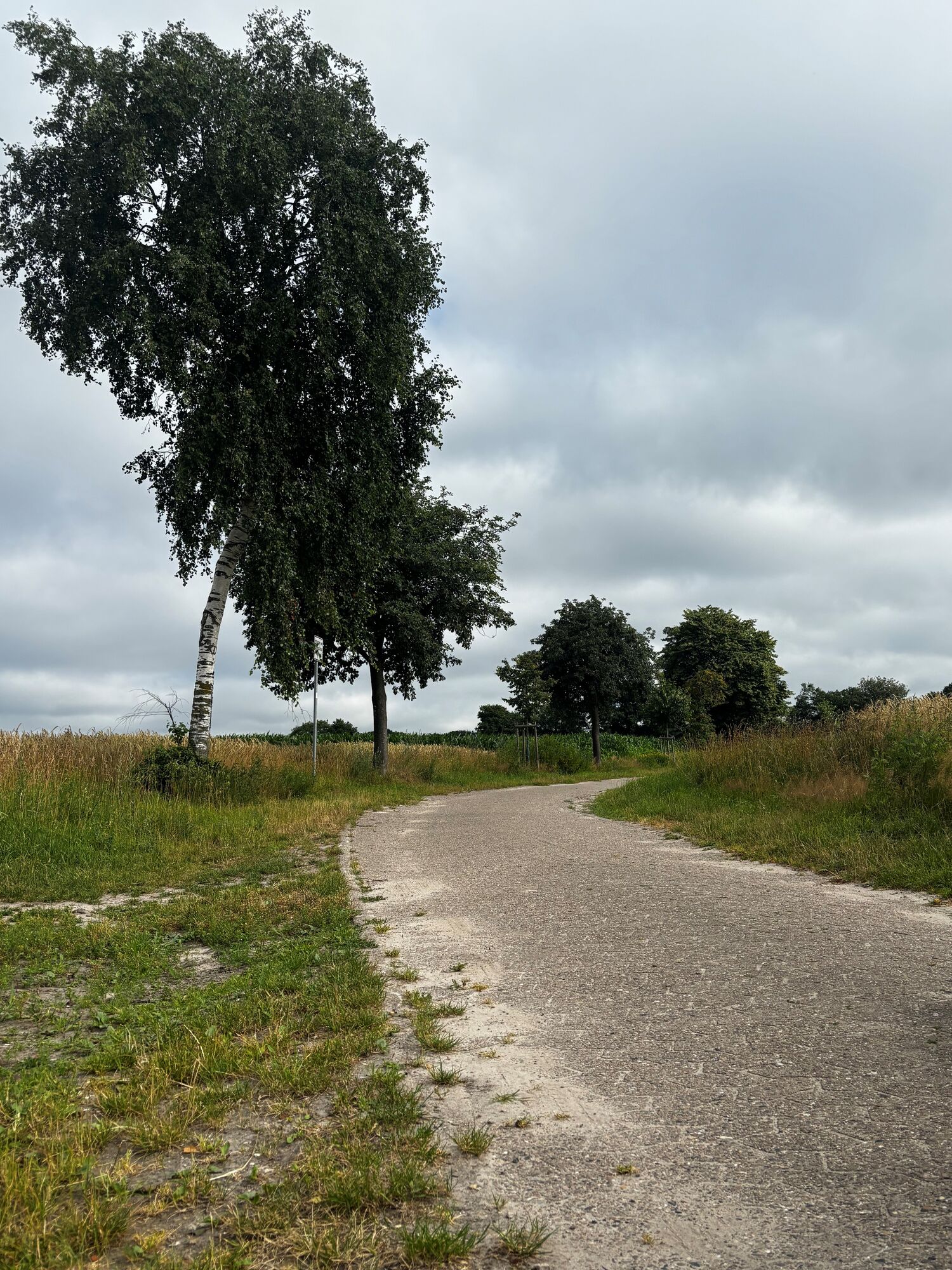 Auf dem Weg nach Beckedorf
