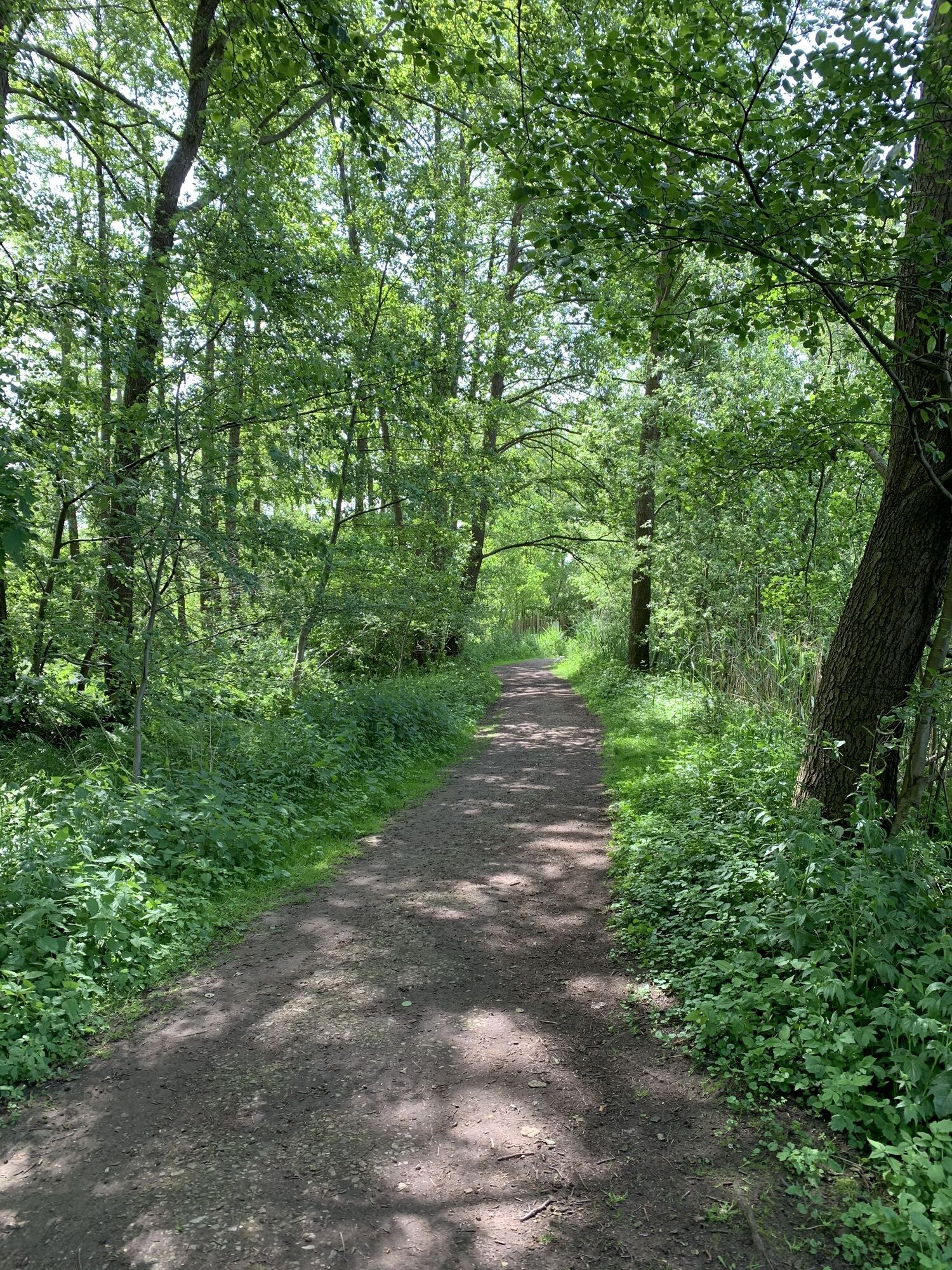 Rund um die Meissendorfer Teiche BERGFEX Wanderung Tour Niedersachsen