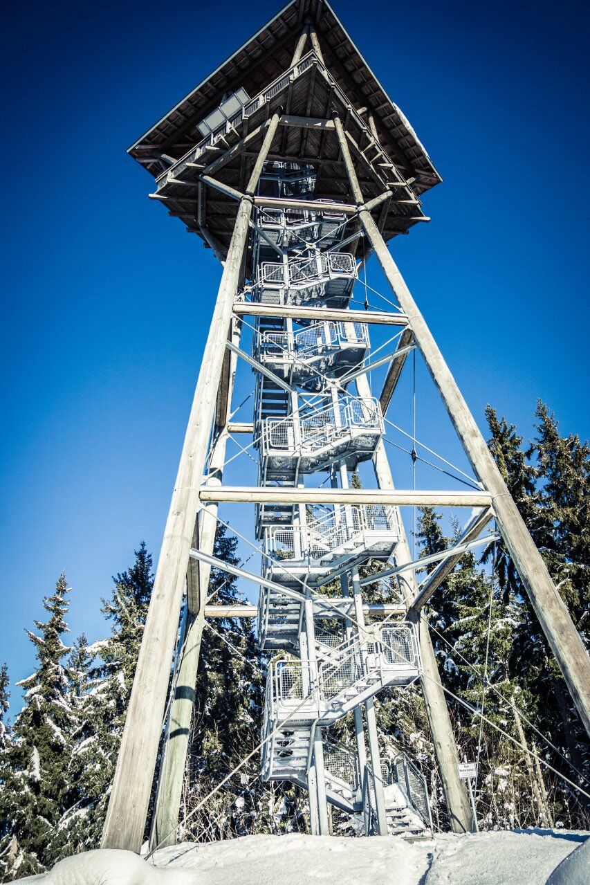 Riesenbühlturm
