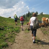 Göriacher Alm und Hochanger
