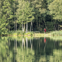 Naturschutzgebiet Horster Moorsee